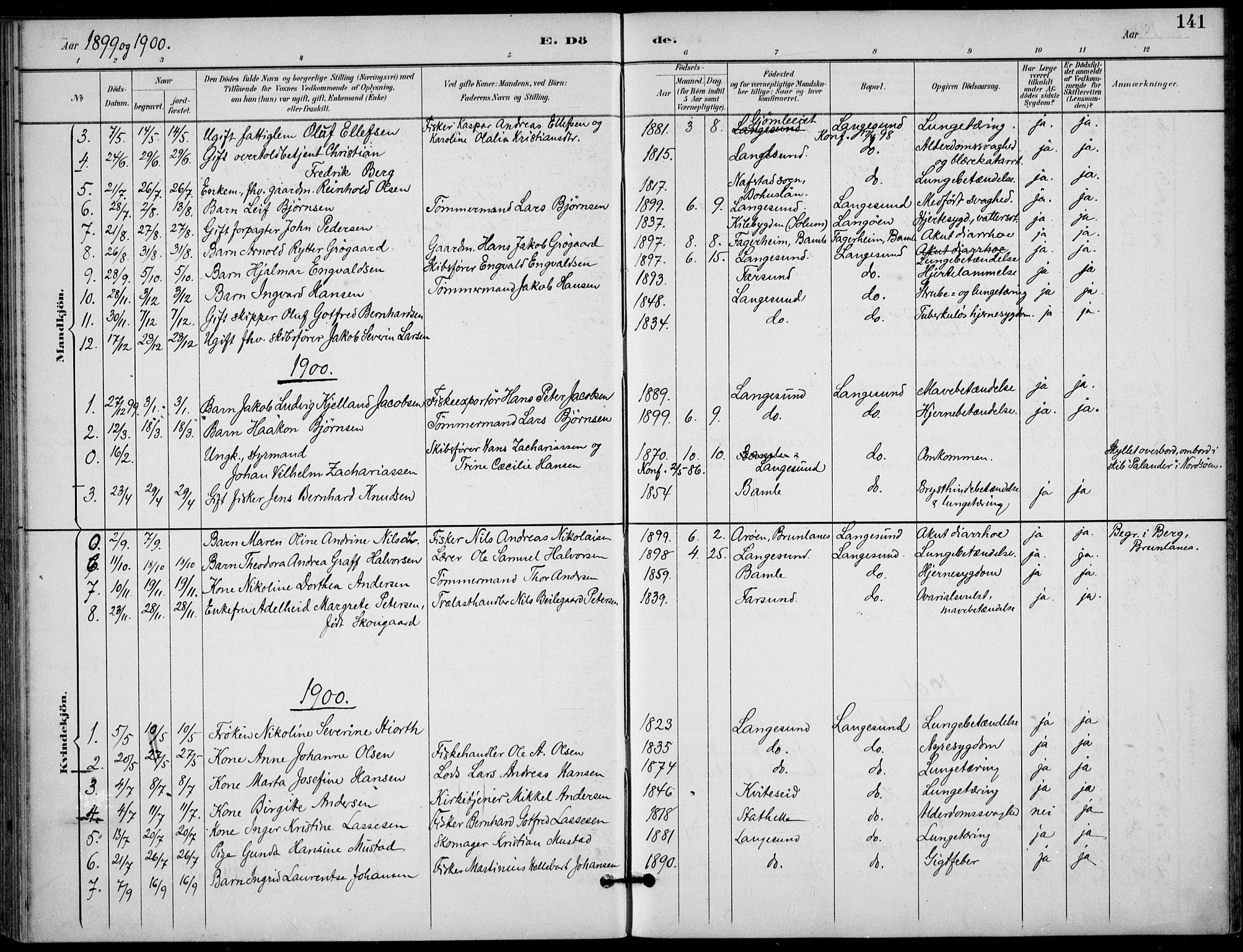 Langesund kirkebøker, SAKO/A-280/F/Fa/L0003: Parish register (official) no. 3, 1893-1907, p. 141