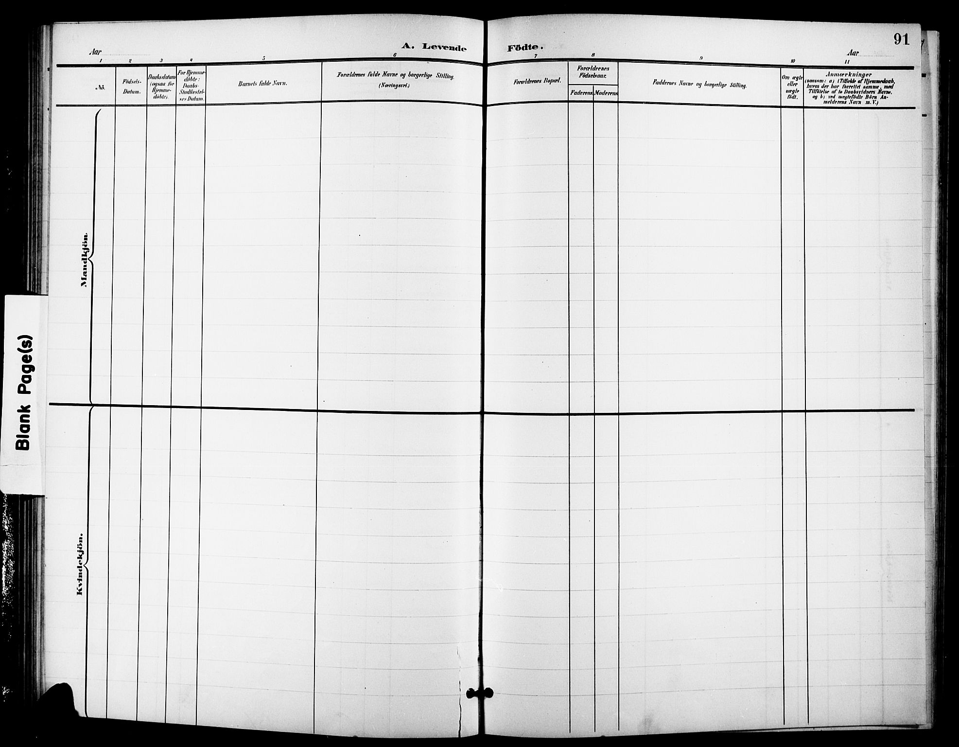 Nes kirkebøker, SAKO/A-236/G/Ga/L0004: Parish register (copy) no. I 4, 1900-1925, p. 91