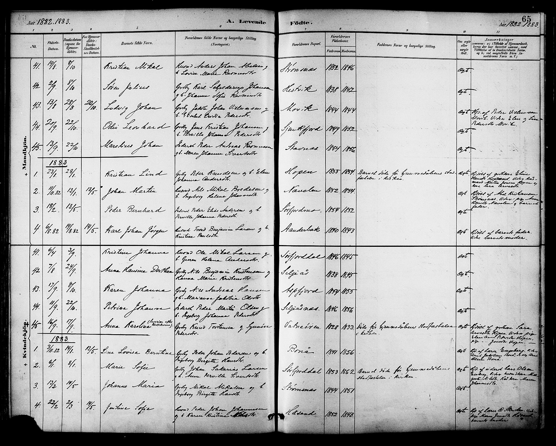 Ministerialprotokoller, klokkerbøker og fødselsregistre - Nordland, SAT/A-1459/854/L0778: Parish register (official) no. 854A01 /2, 1881-1888, p. 65