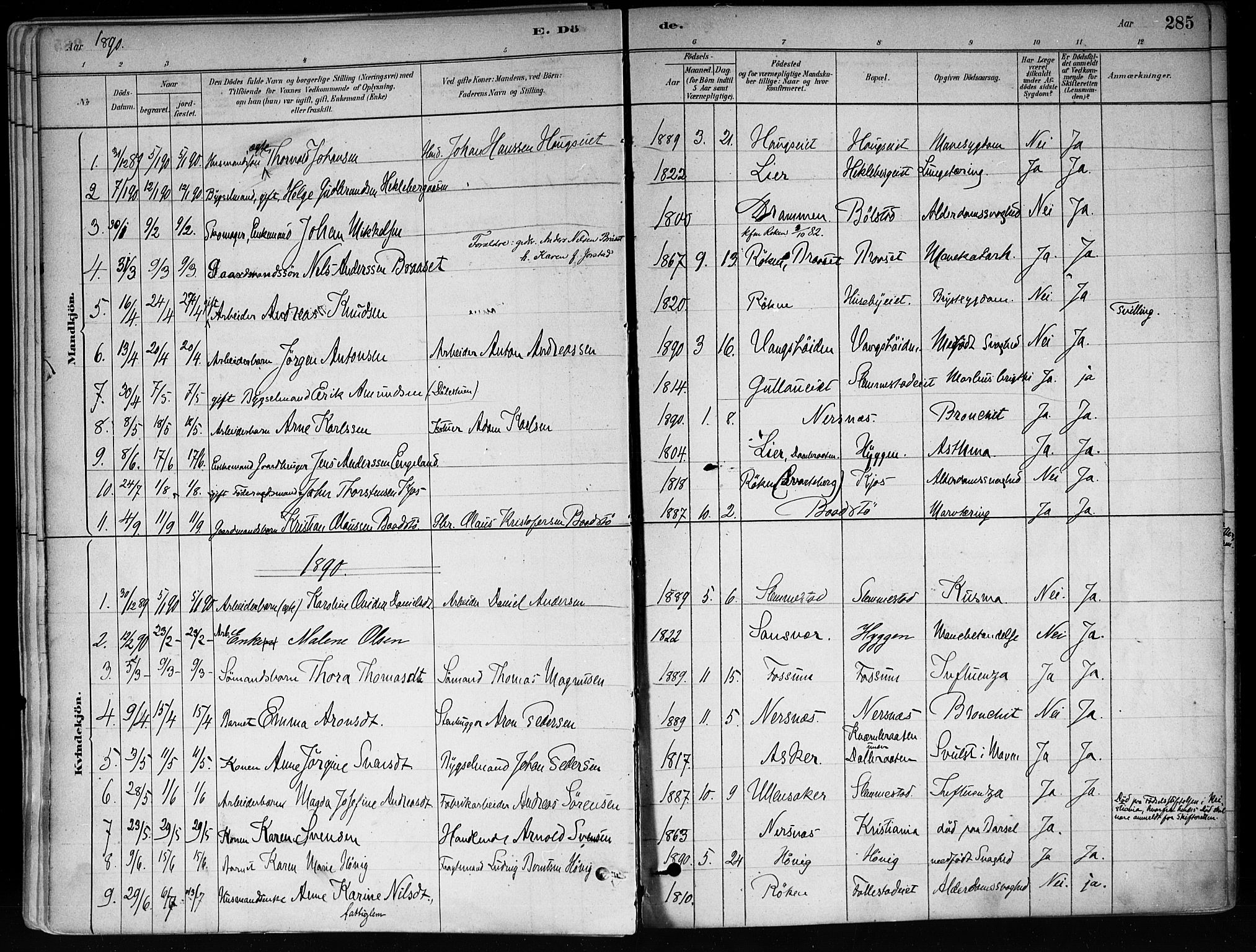 Røyken kirkebøker, SAKO/A-241/F/Fa/L0008: Parish register (official) no. 8, 1880-1897, p. 285