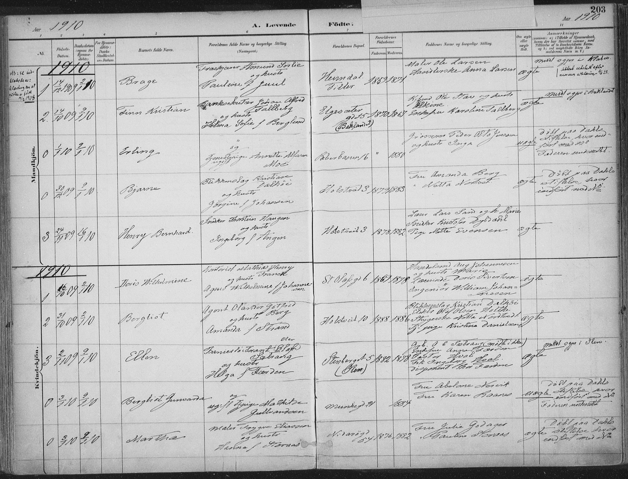 Ministerialprotokoller, klokkerbøker og fødselsregistre - Sør-Trøndelag, AV/SAT-A-1456/601/L0062: Parish register (official) no. 601A30, 1891-1911, p. 203