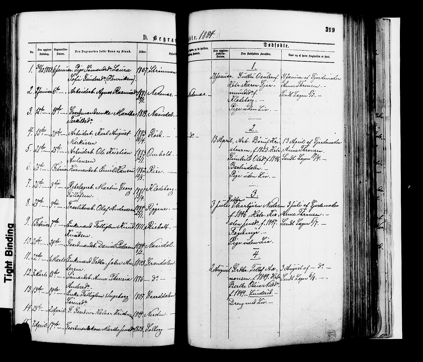 Øyestad sokneprestkontor, SAK/1111-0049/F/Fa/L0016: Parish register (official) no. A 16, 1874-1886, p. 399