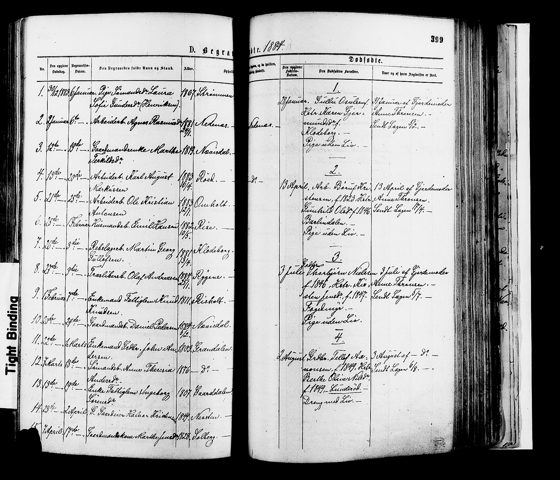 Øyestad sokneprestkontor, AV/SAK-1111-0049/F/Fa/L0016: Parish register (official) no. A 16, 1874-1886, p. 399