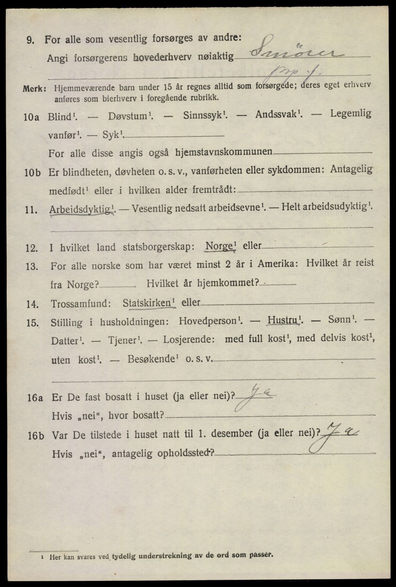 SAKO, 1920 census for Solum, 1920, p. 4047