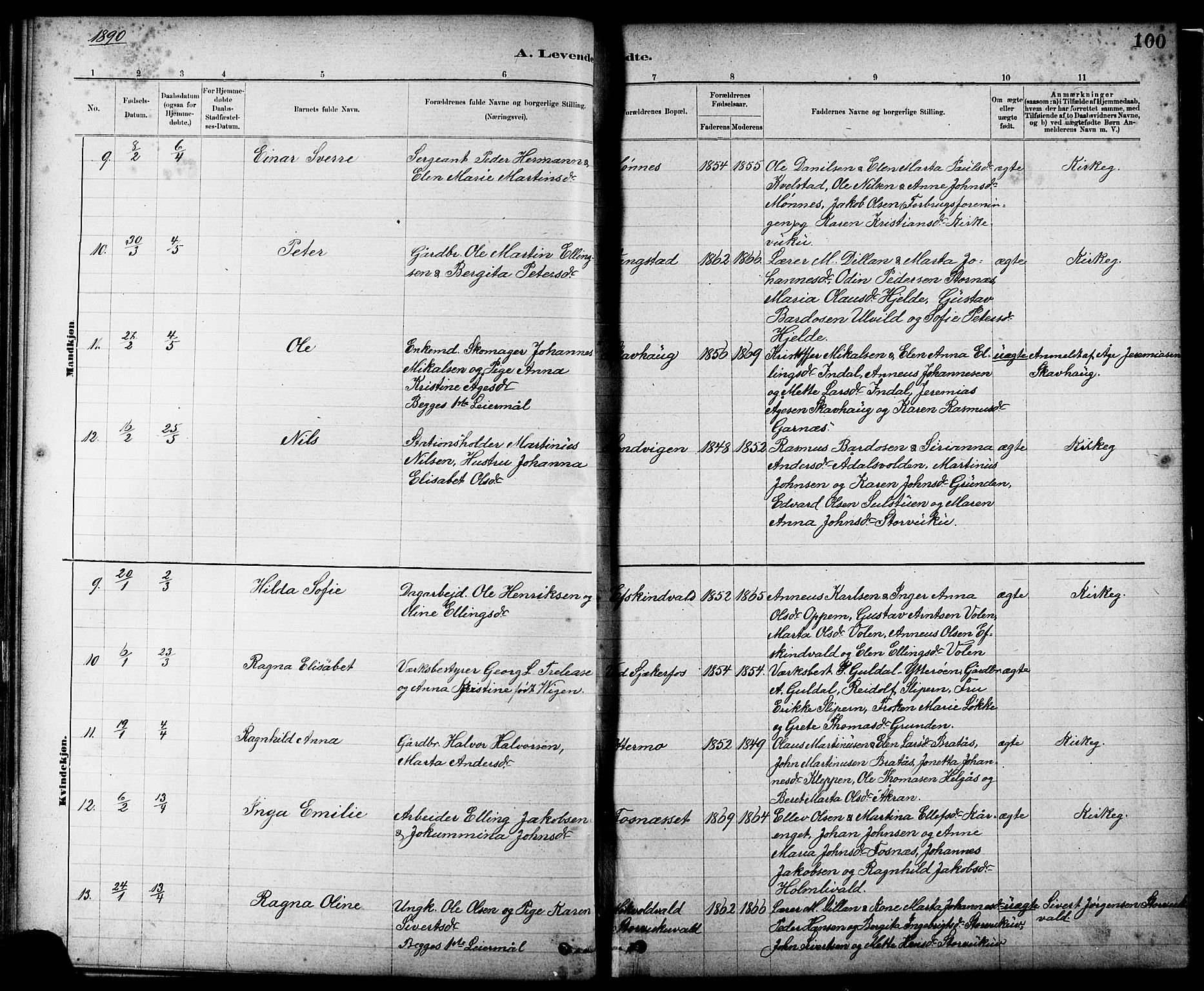 Ministerialprotokoller, klokkerbøker og fødselsregistre - Nord-Trøndelag, SAT/A-1458/724/L0267: Parish register (copy) no. 724C03, 1879-1898, p. 100