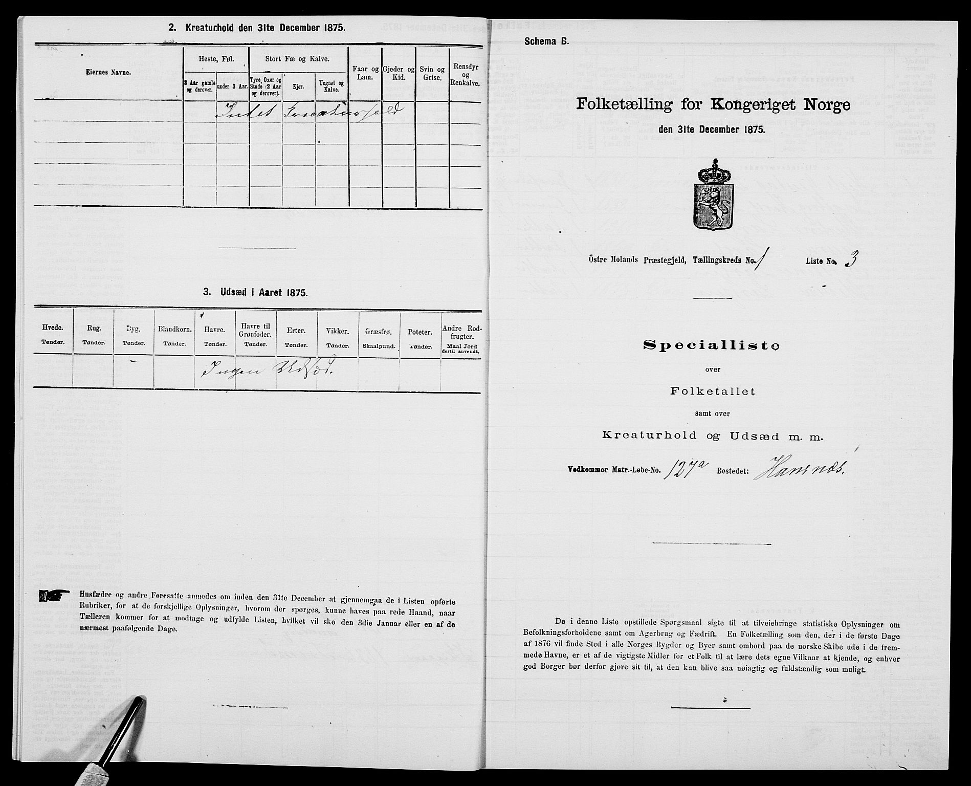 SAK, 1875 census for 0918P Austre Moland, 1875, p. 113