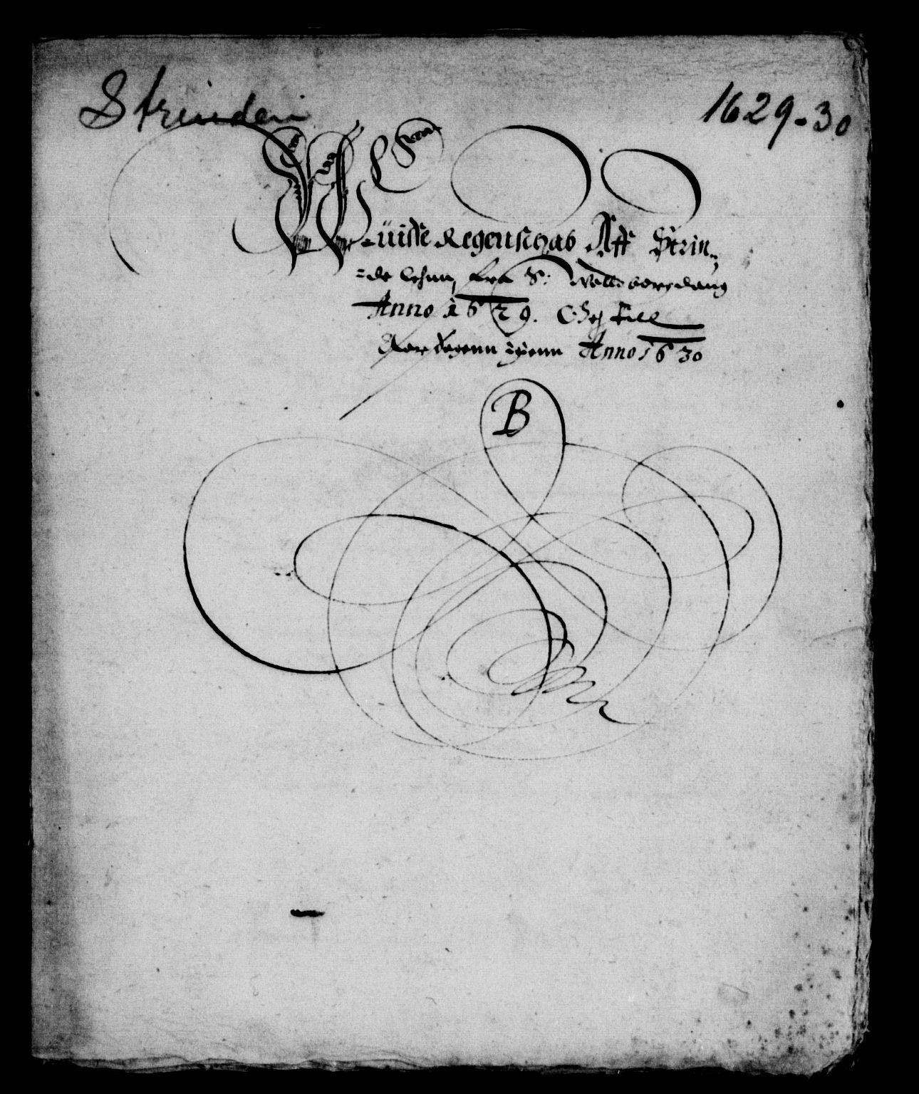 Rentekammeret inntil 1814, Reviderte regnskaper, Lensregnskaper, RA/EA-5023/R/Rb/Rbw/L0040: Trondheim len, 1629-1630