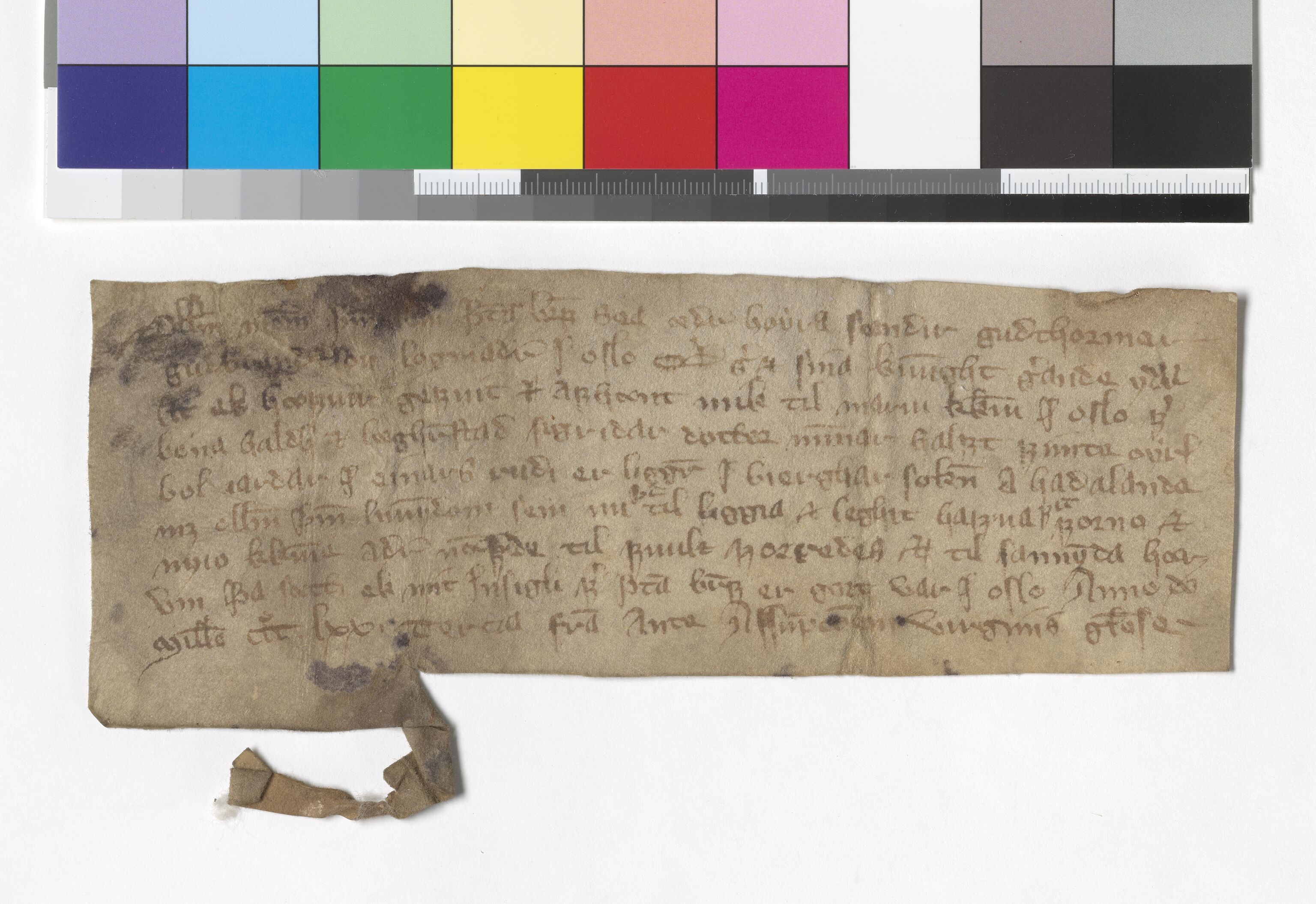 Riksarkivets diplomsamling, AV/RA-EA-5965/F05/L0175: NRA AM fasc. 71 nr. 13-35, 1368-1372, p. 21