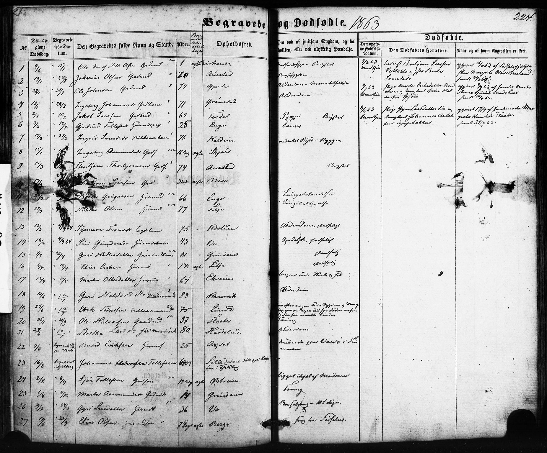 Etne sokneprestembete, SAB/A-75001/H/Haa: Parish register (official) no. A 9, 1862-1878, p. 224