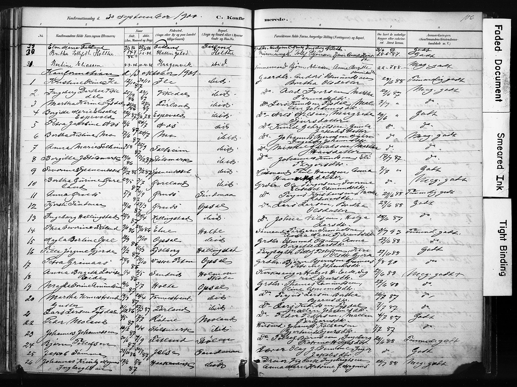 Vikedal sokneprestkontor, AV/SAST-A-101840/01/IV: Parish register (official) no. A 10, 1884-1907, p. 106