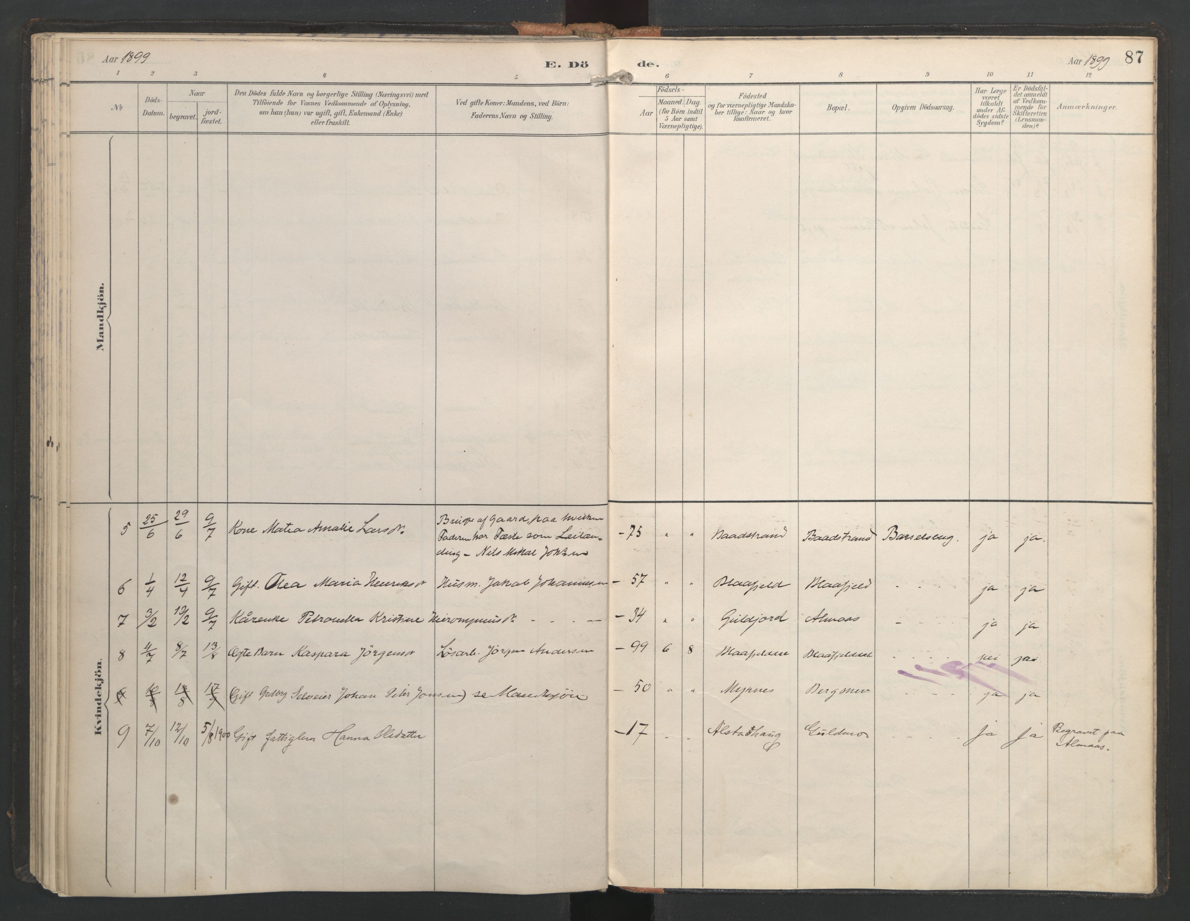 Ministerialprotokoller, klokkerbøker og fødselsregistre - Nordland, SAT/A-1459/821/L0317: Parish register (official) no. 821A01, 1892-1907, p. 87