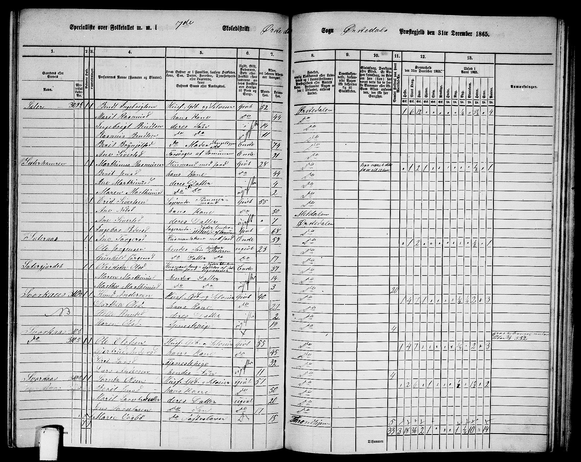 RA, 1865 census for Orkdal, 1865, p. 217