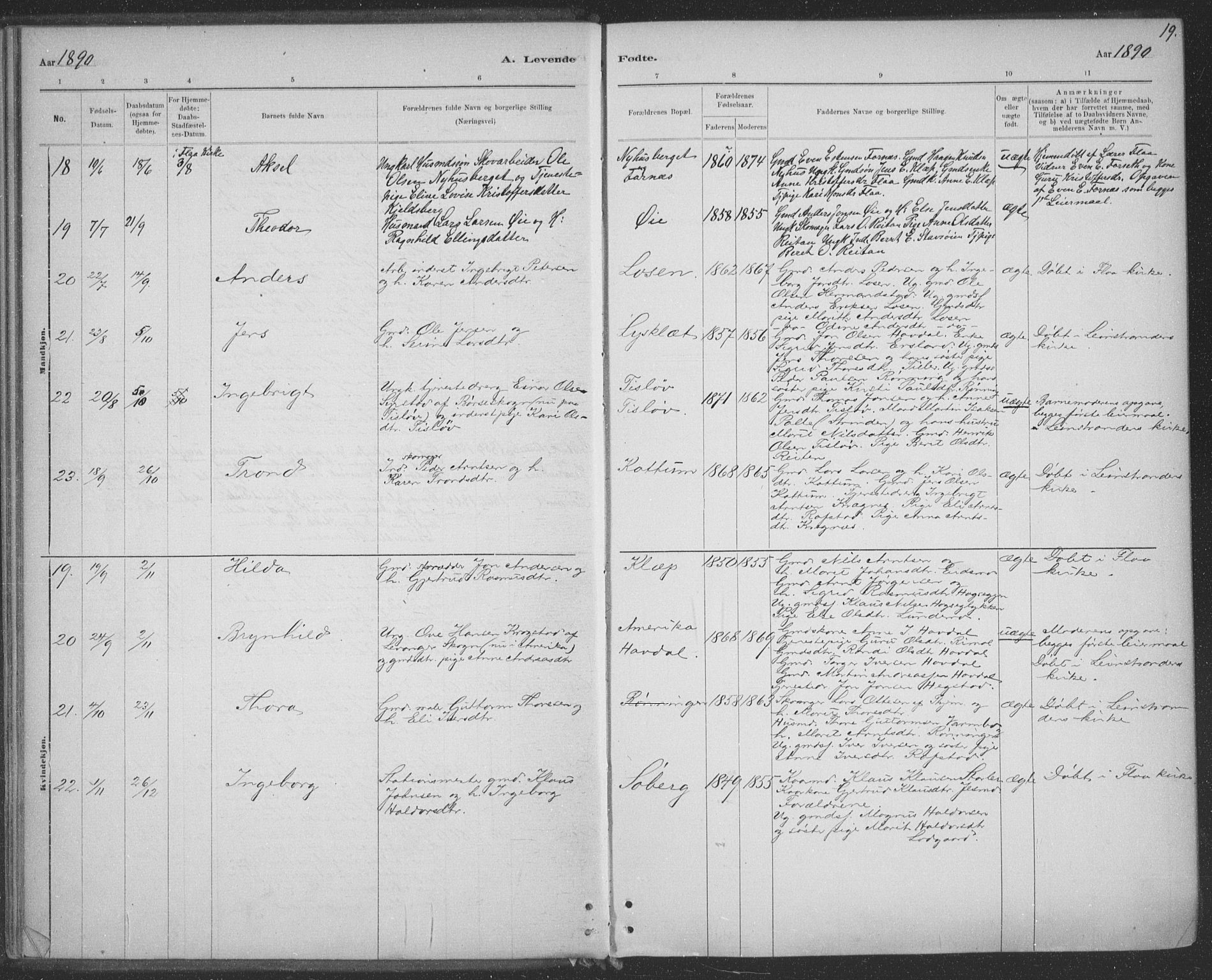 Ministerialprotokoller, klokkerbøker og fødselsregistre - Sør-Trøndelag, SAT/A-1456/691/L1085: Parish register (official) no. 691A17, 1887-1908, p. 19