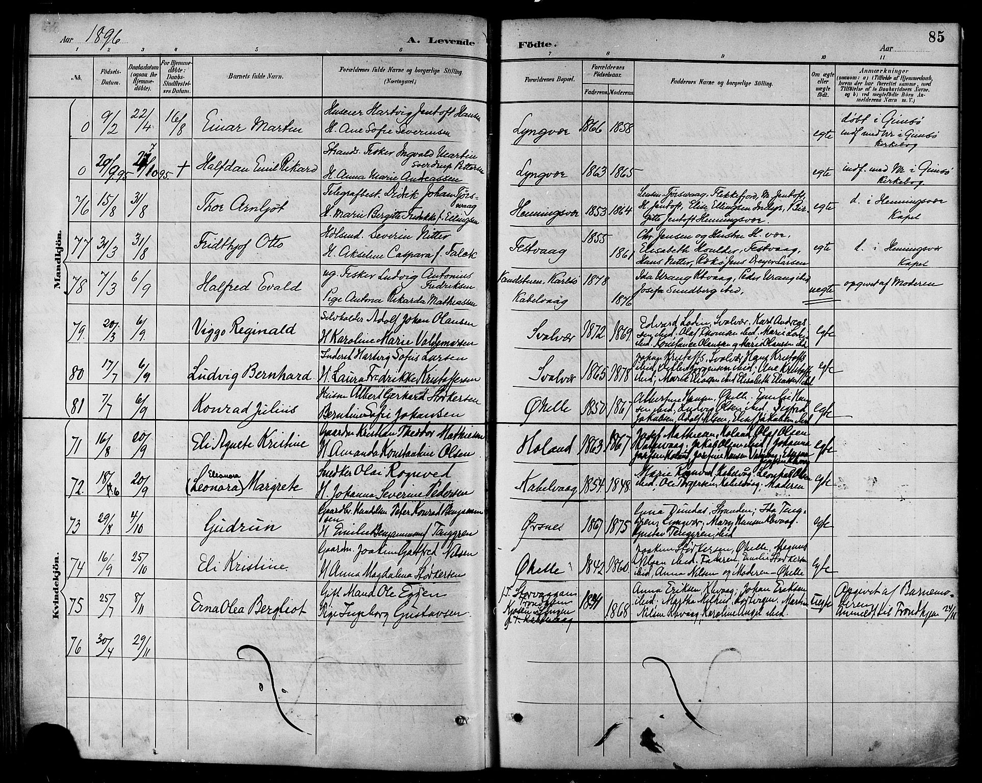 Ministerialprotokoller, klokkerbøker og fødselsregistre - Nordland, AV/SAT-A-1459/874/L1060: Parish register (official) no. 874A04, 1890-1899, p. 85