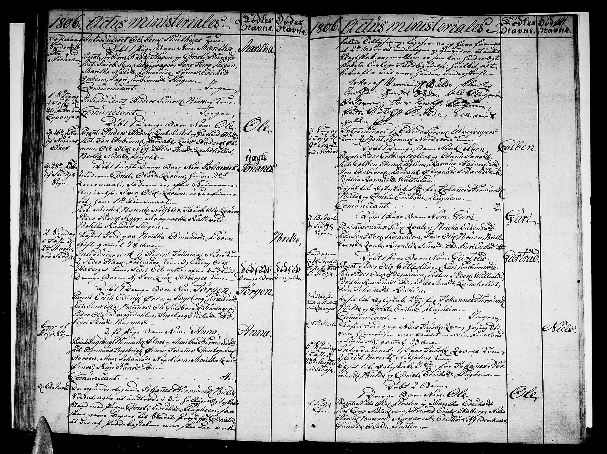Sogndal sokneprestembete, SAB/A-81301/H/Haa/Haaa/L0008: Parish register (official) no. A 8, 1795-1809, p. 141