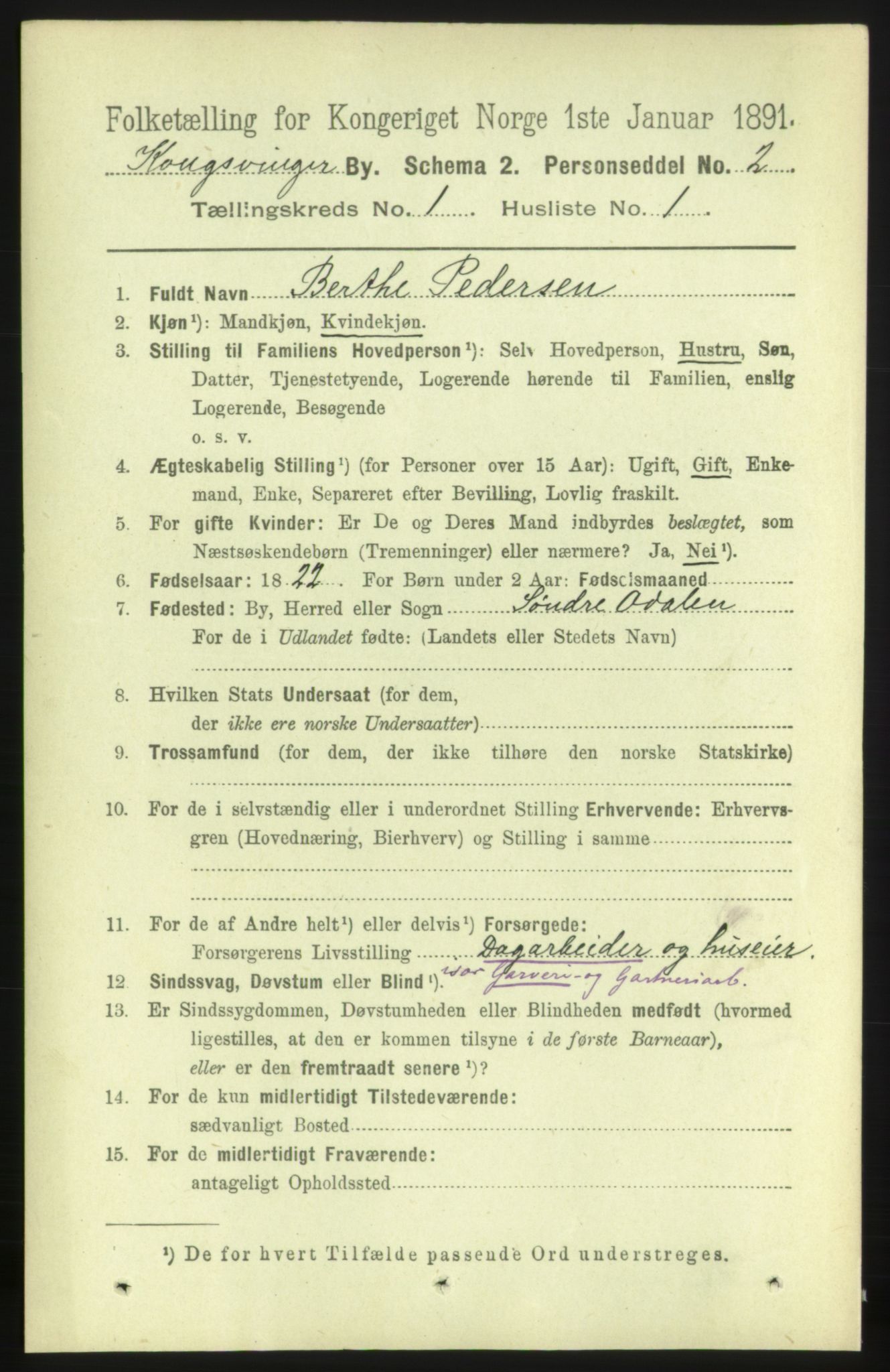 RA, 1891 census for 0402 Kongsvinger, 1891, p. 317