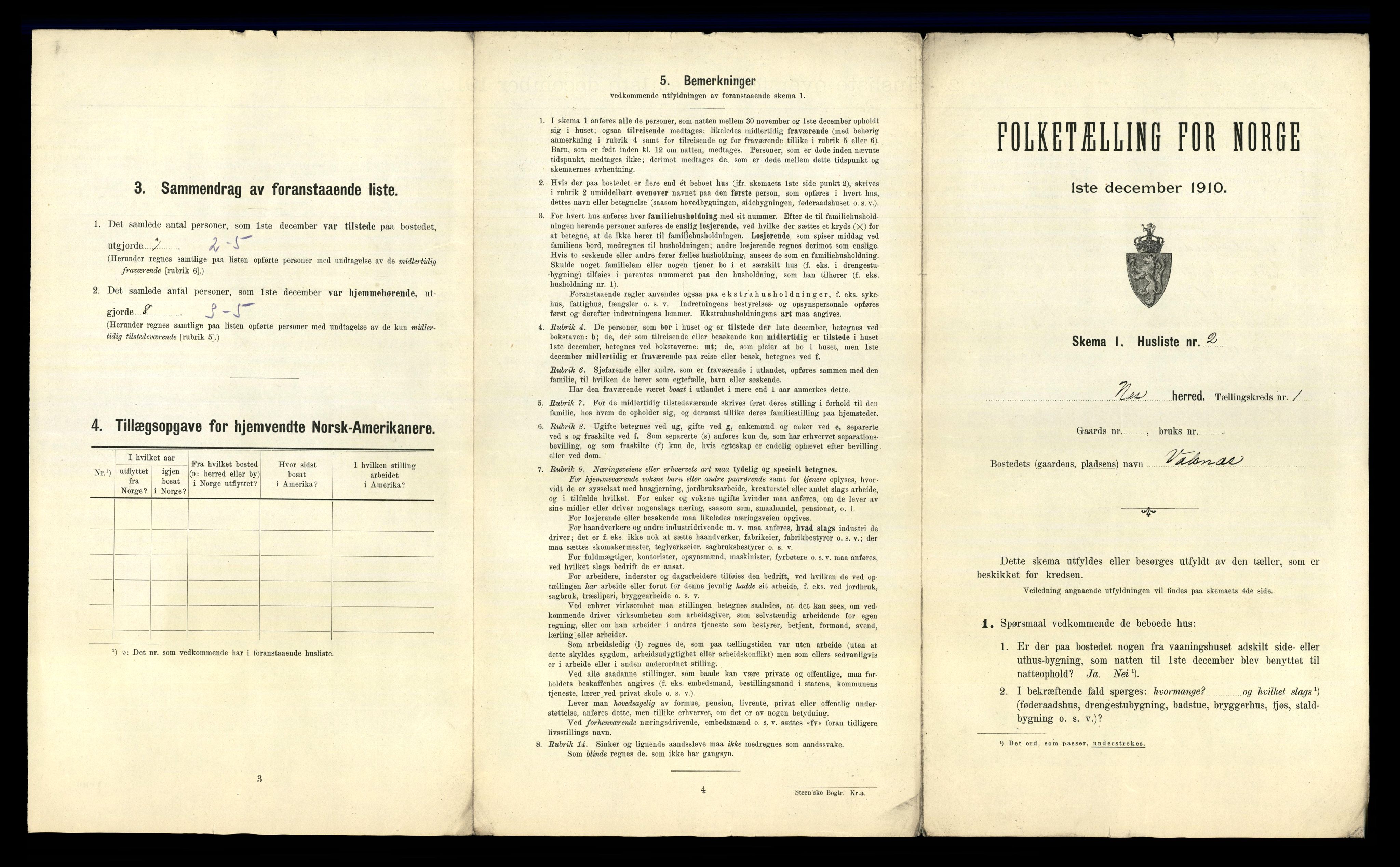 RA, 1910 census for Nes, 1910, p. 19