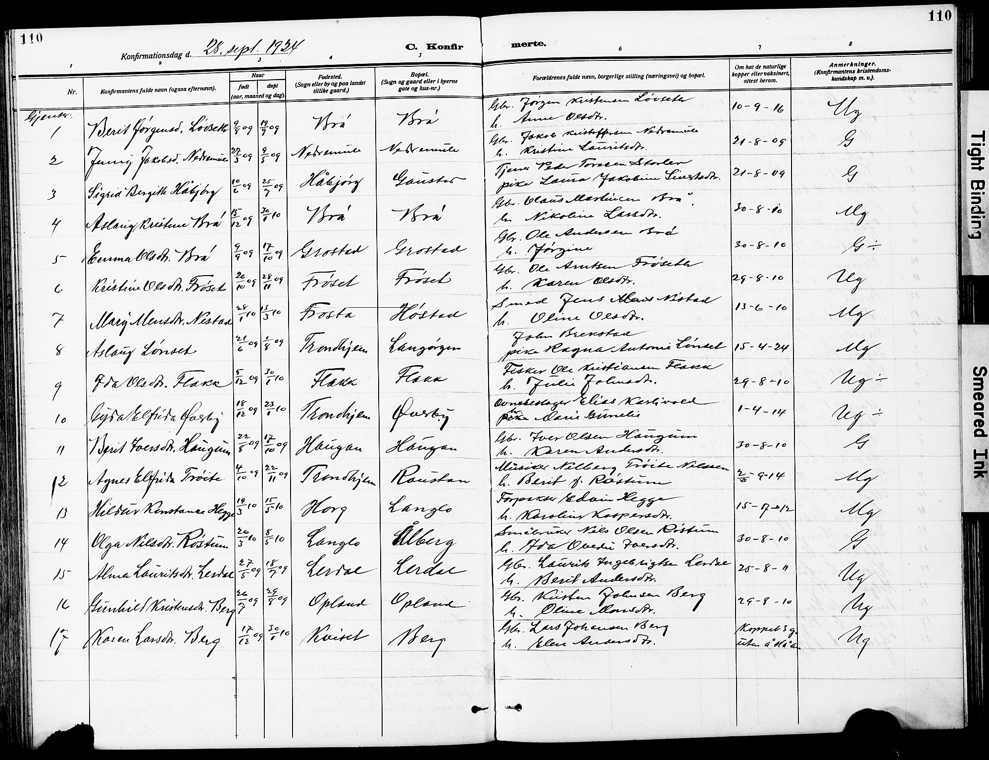 Ministerialprotokoller, klokkerbøker og fødselsregistre - Sør-Trøndelag, SAT/A-1456/612/L0388: Parish register (copy) no. 612C04, 1909-1929, p. 110