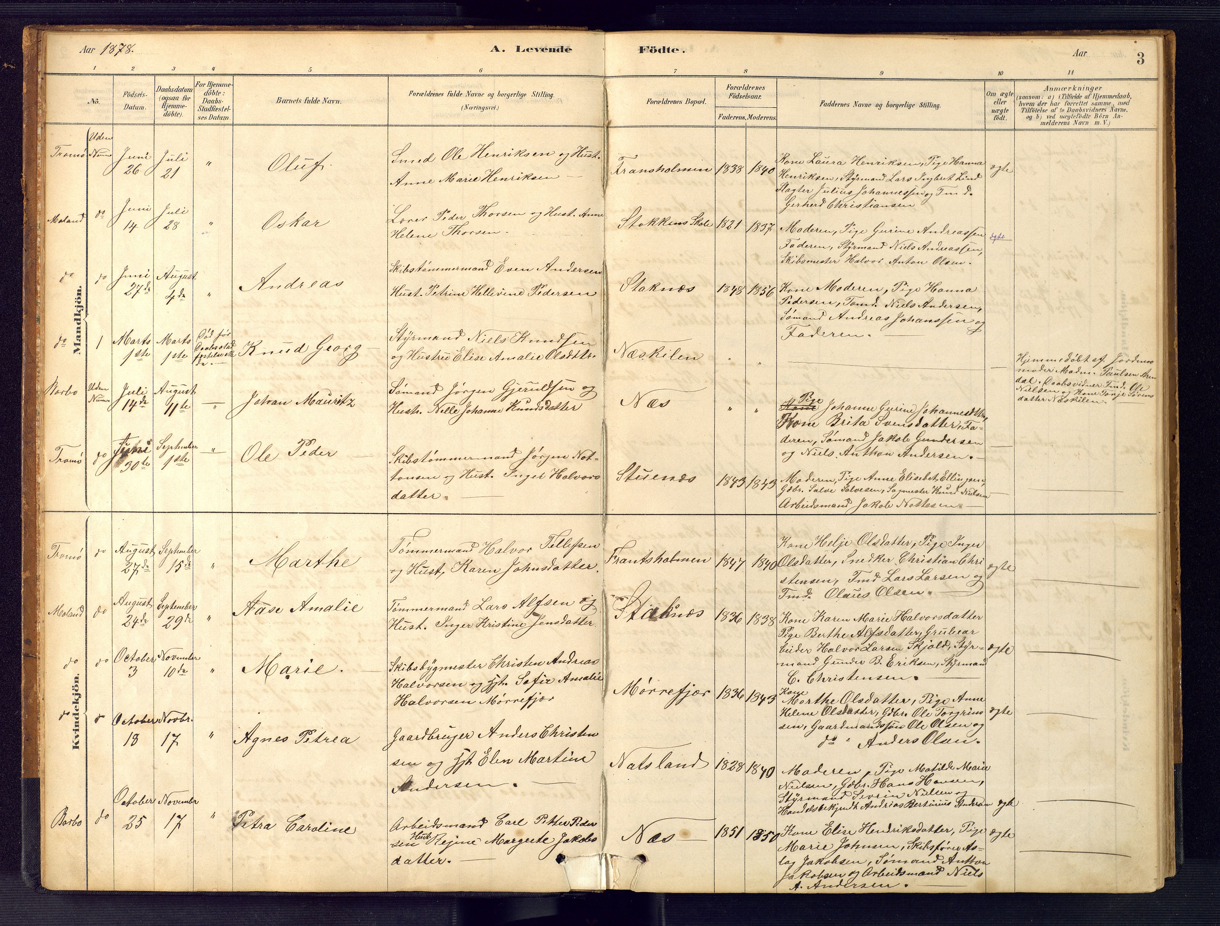 Austre Moland sokneprestkontor, SAK/1111-0001/F/Fb/Fbb/L0001: Parish register (copy) no. B 1, 1878-1904, p. 3