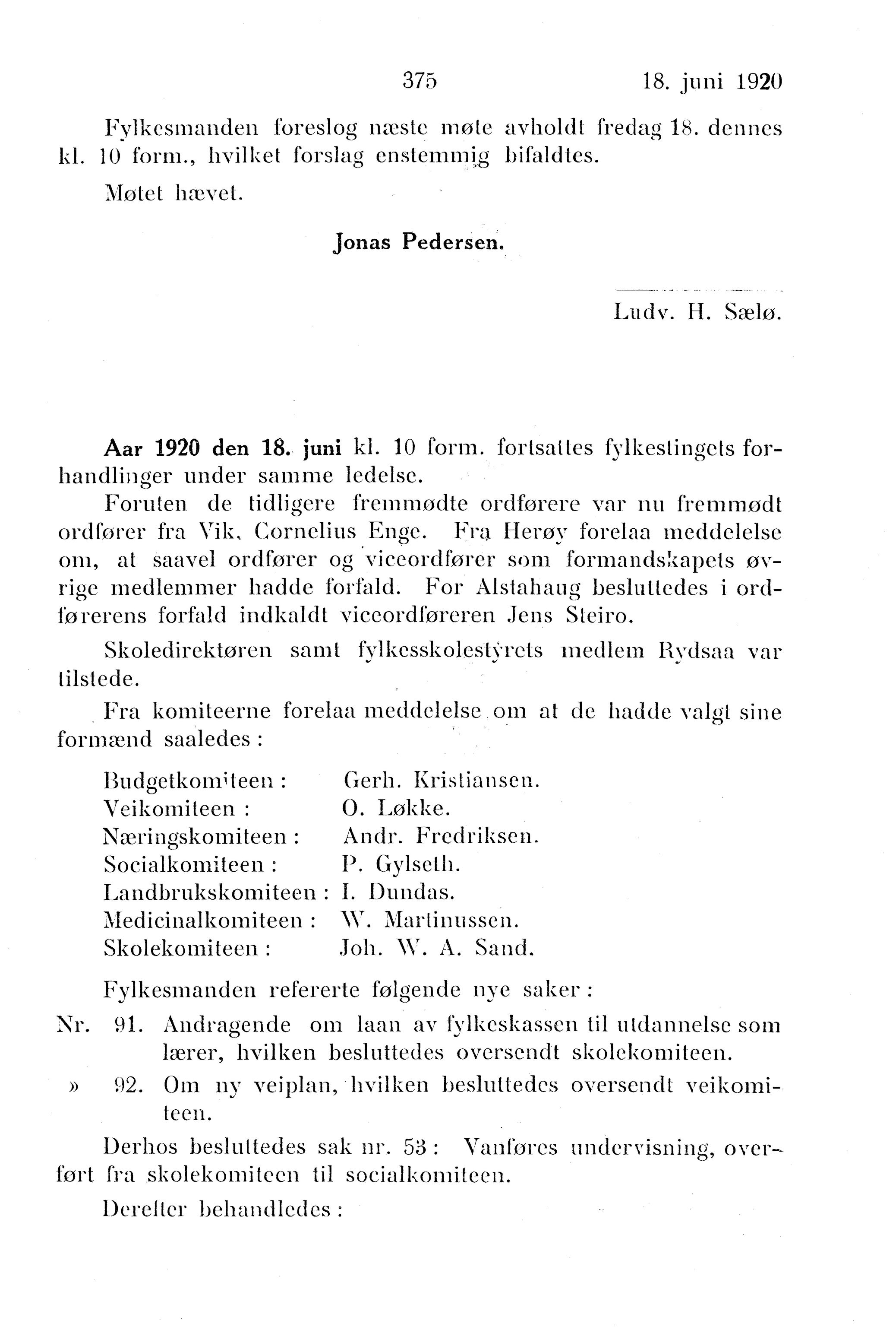 Nordland Fylkeskommune. Fylkestinget, AIN/NFK-17/176/A/Ac/L0043: Fylkestingsforhandlinger 1920, 1920, p. 375
