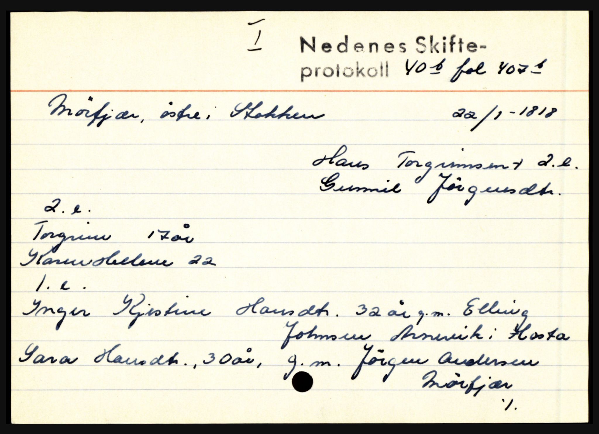 Nedenes sorenskriveri før 1824, AV/SAK-1221-0007/H, p. 20985