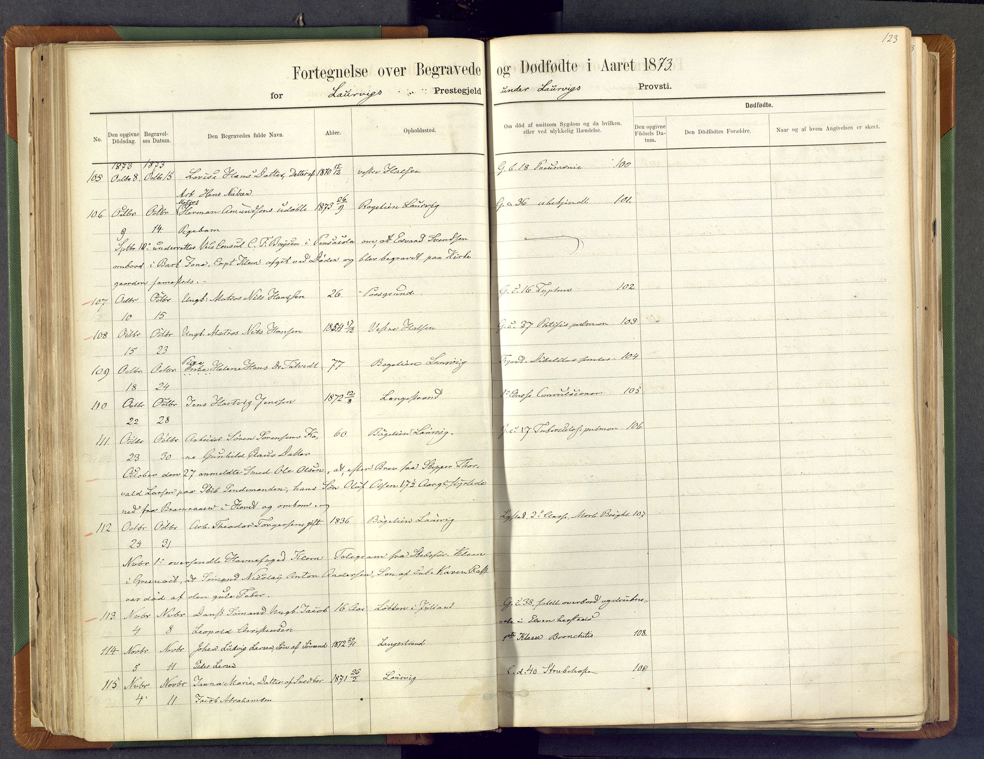 Larvik kirkebøker, AV/SAKO-A-352/F/Fa/L0007: Parish register (official) no. I 7, 1871-1883, p. 123