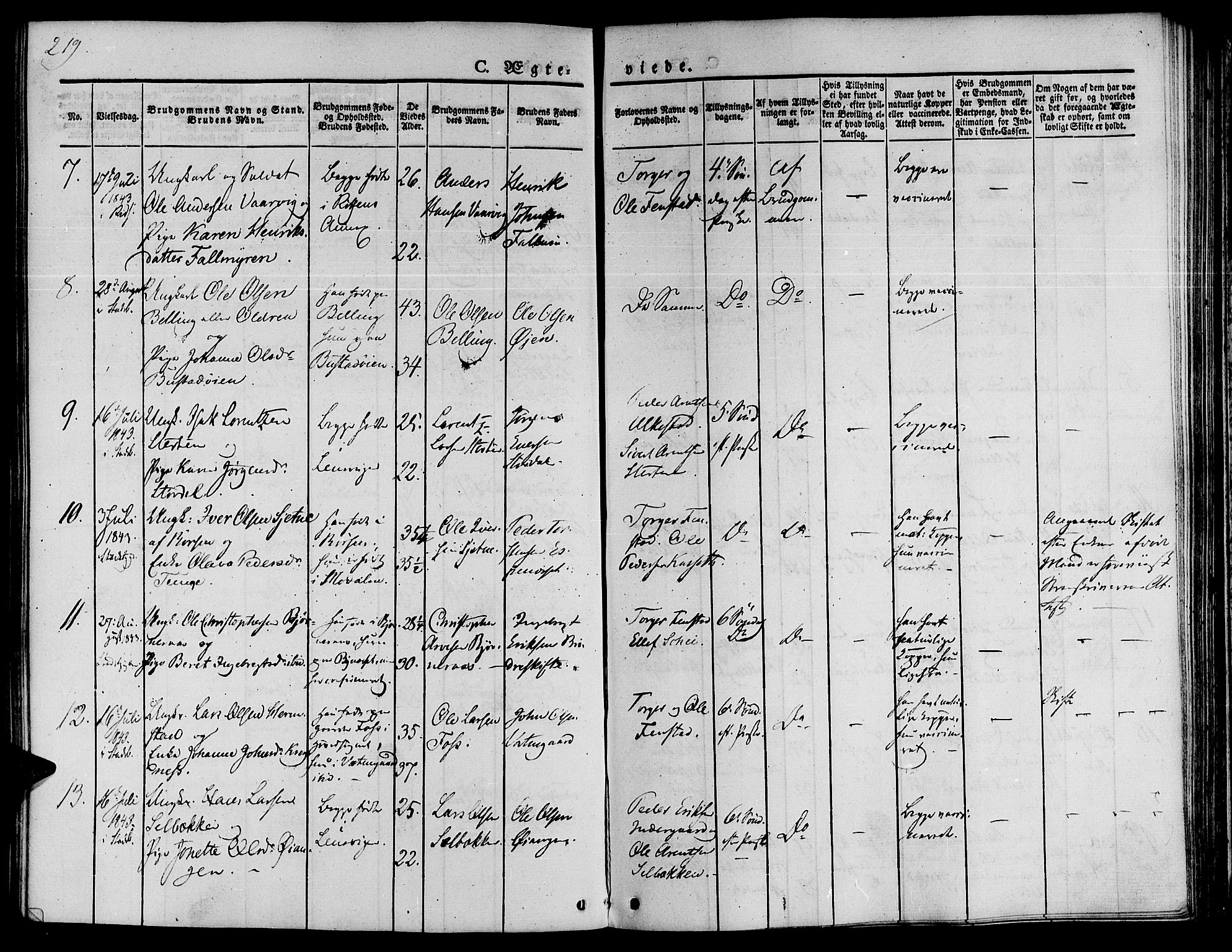 Ministerialprotokoller, klokkerbøker og fødselsregistre - Sør-Trøndelag, SAT/A-1456/646/L0610: Parish register (official) no. 646A08, 1837-1847, p. 219