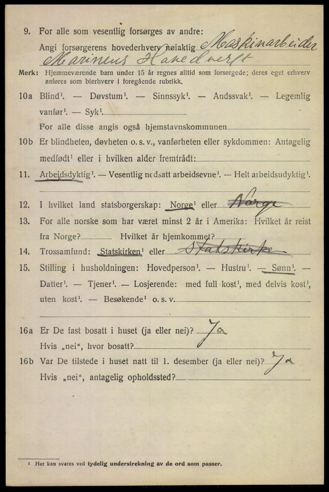 SAKO, 1920 census for Borre, 1920, p. 1429