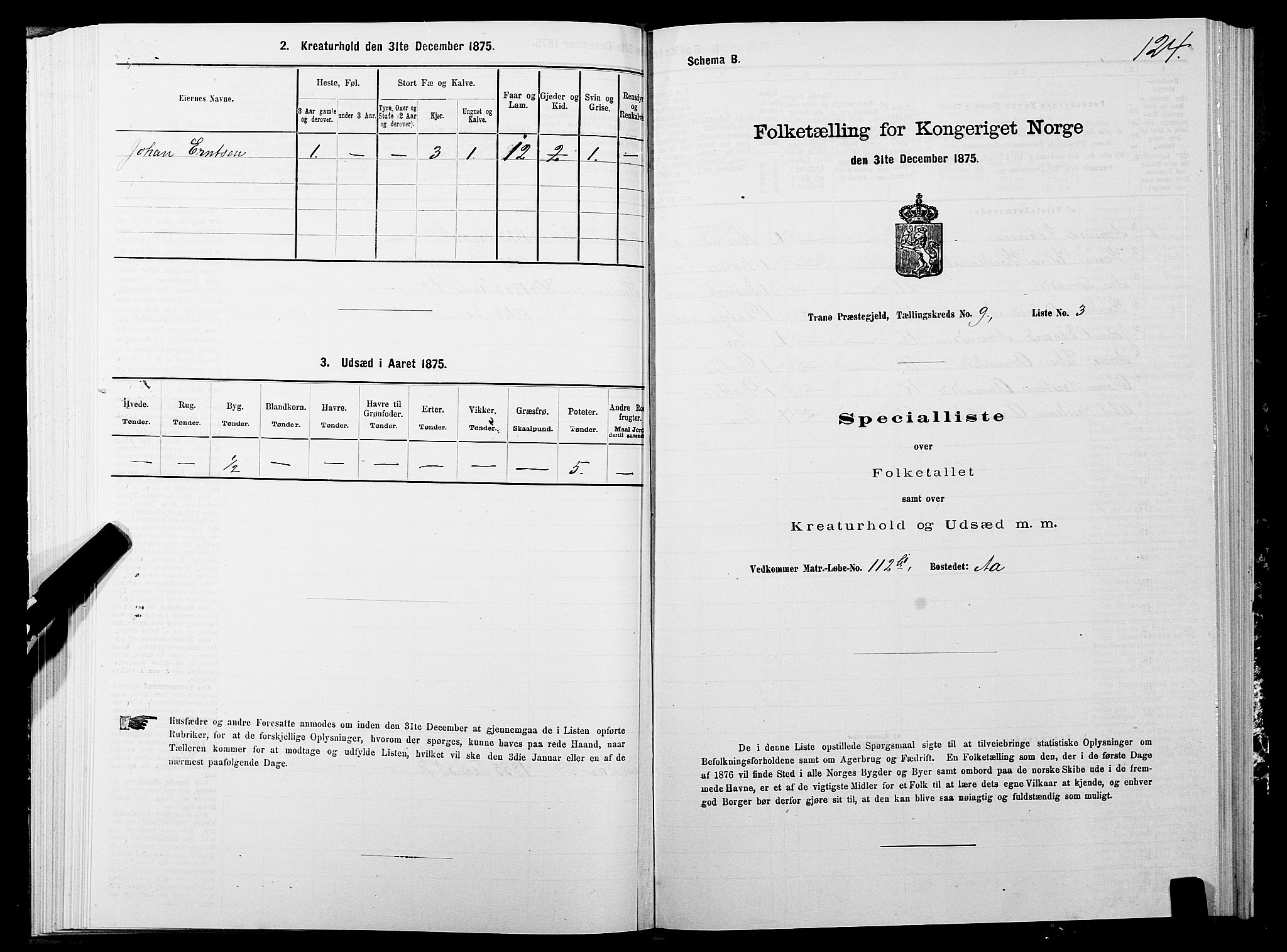 SATØ, 1875 census for 1927P Tranøy, 1875, p. 4124