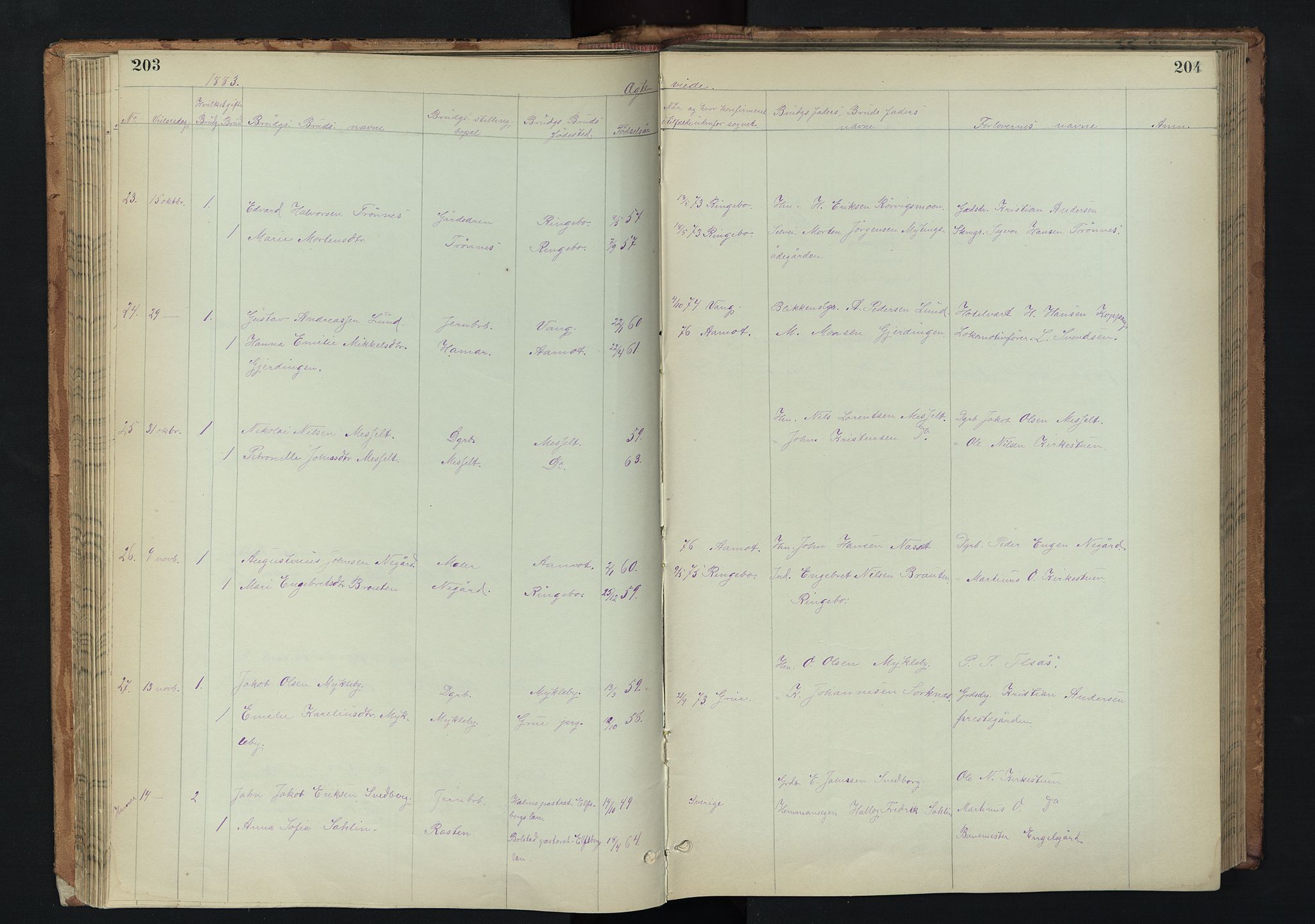 Stor-Elvdal prestekontor, AV/SAH-PREST-052/H/Ha/Hab/L0002: Parish register (copy) no. 2, 1860-1894, p. 203-204