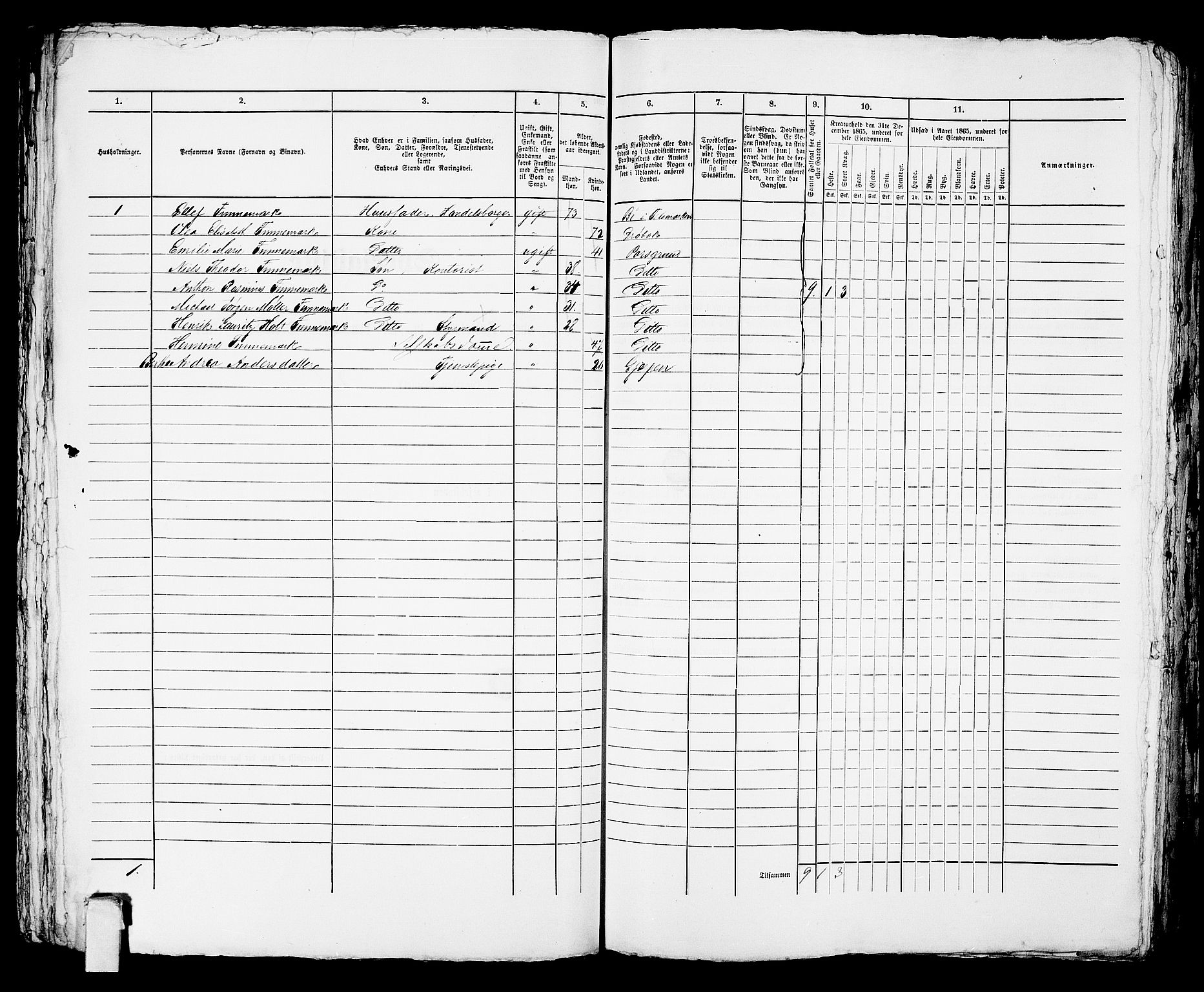 RA, 1865 census for Porsgrunn, 1865, p. 611