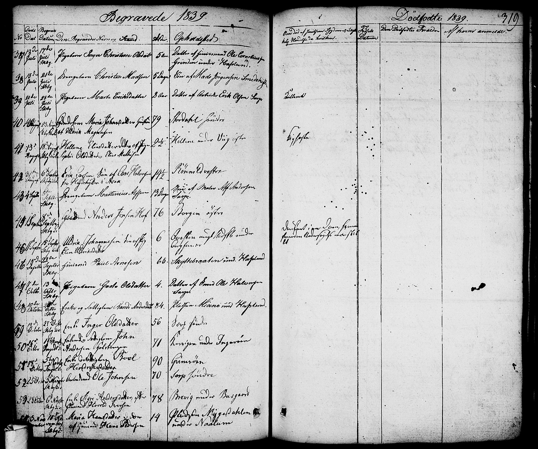 Skjeberg prestekontor Kirkebøker, AV/SAO-A-10923/F/Fa/L0005: Parish register (official) no. I 5, 1830-1845, p. 319