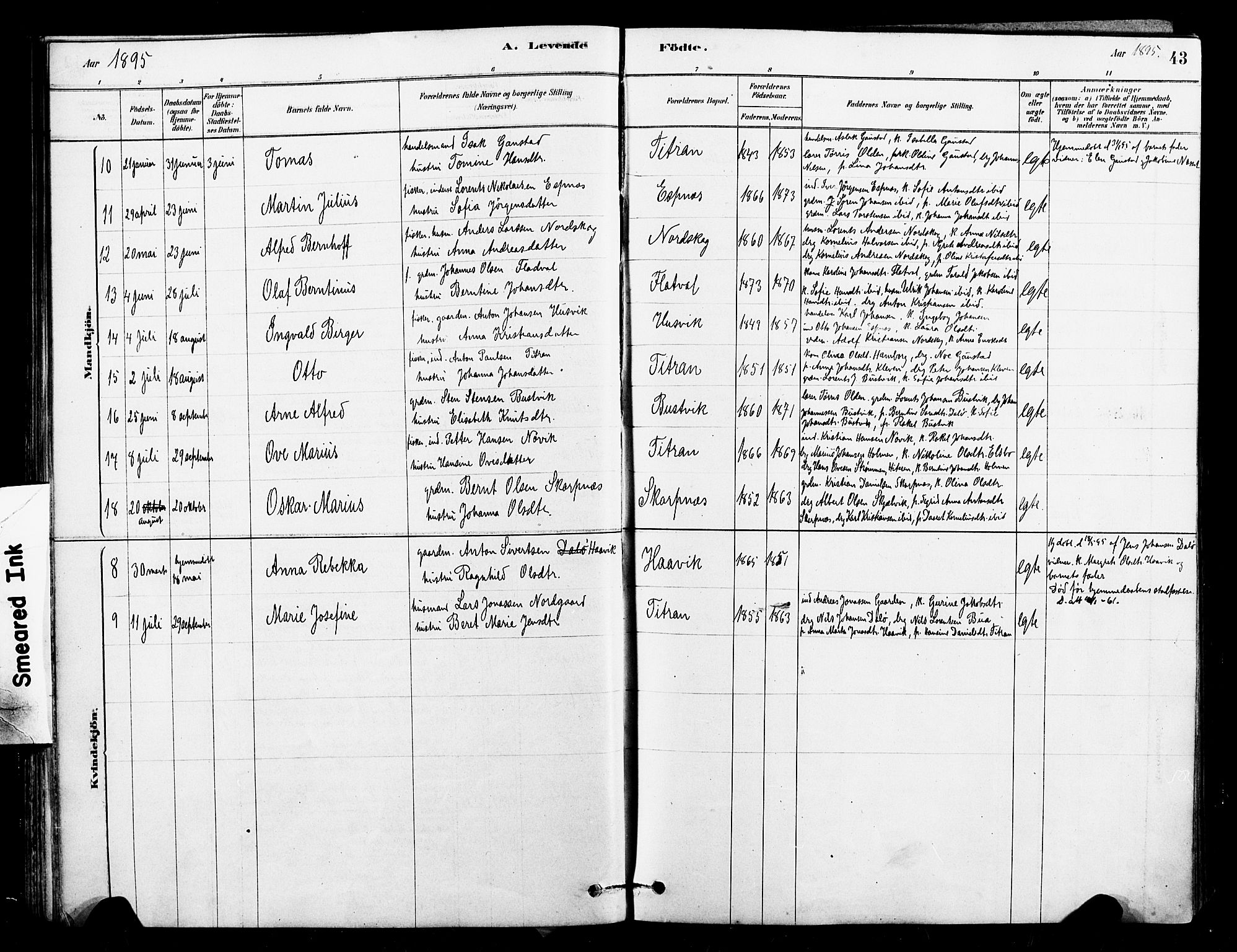 Ministerialprotokoller, klokkerbøker og fødselsregistre - Sør-Trøndelag, SAT/A-1456/641/L0595: Parish register (official) no. 641A01, 1882-1897, p. 43