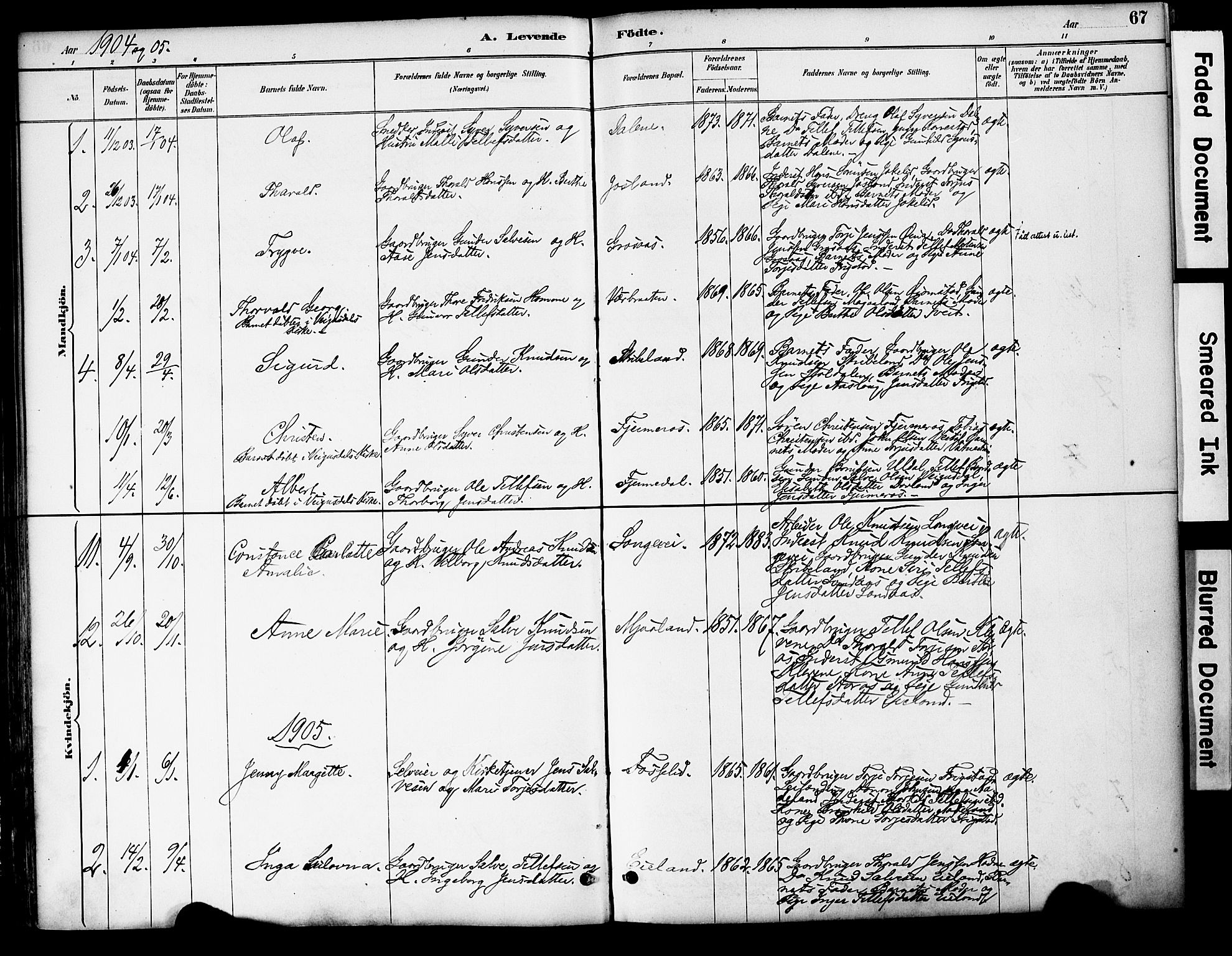 Evje sokneprestkontor, AV/SAK-1111-0008/F/Fa/Fac/L0003: Parish register (official) no. A 3, 1884-1909, p. 67