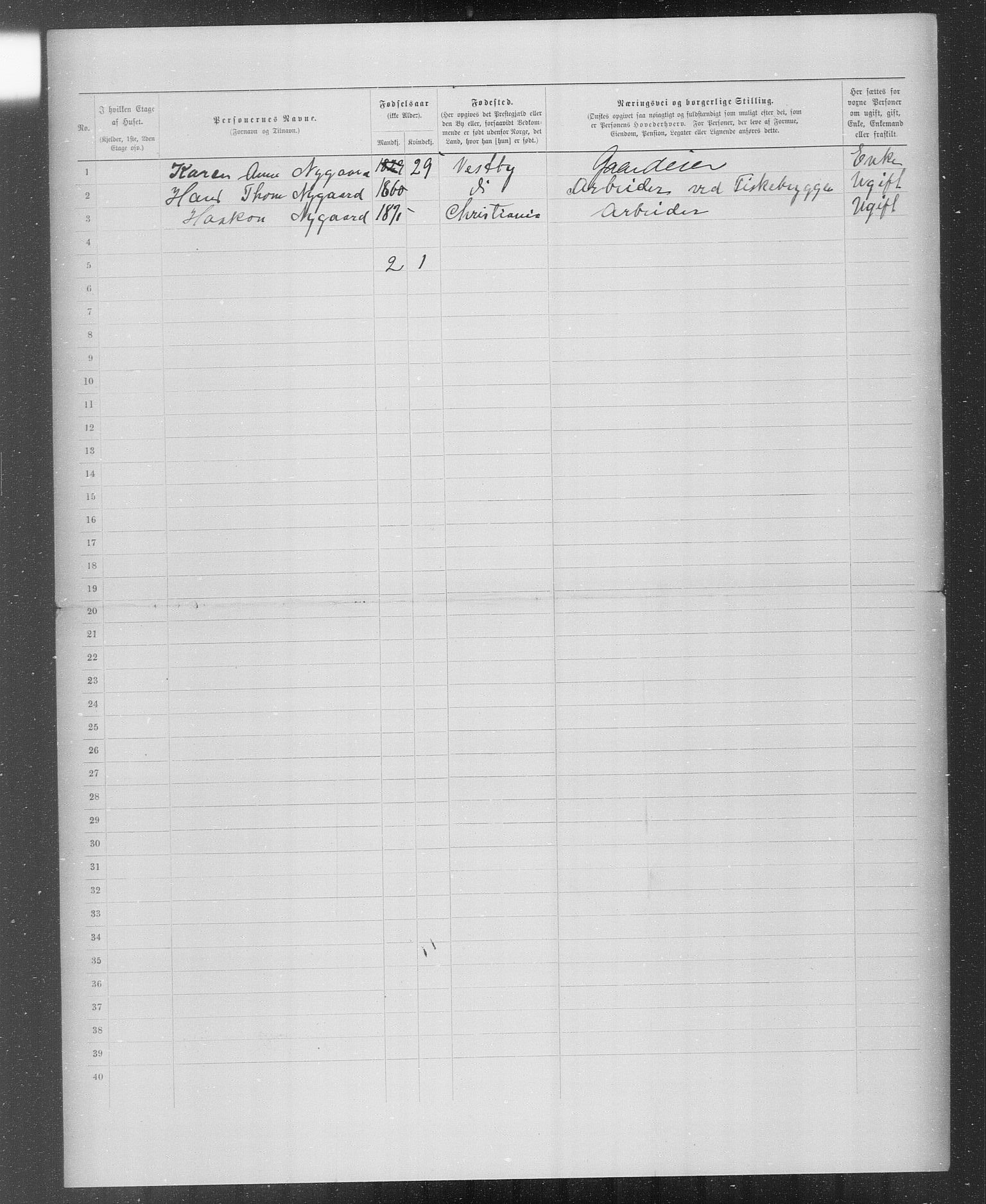 OBA, Municipal Census 1899 for Kristiania, 1899, p. 3290