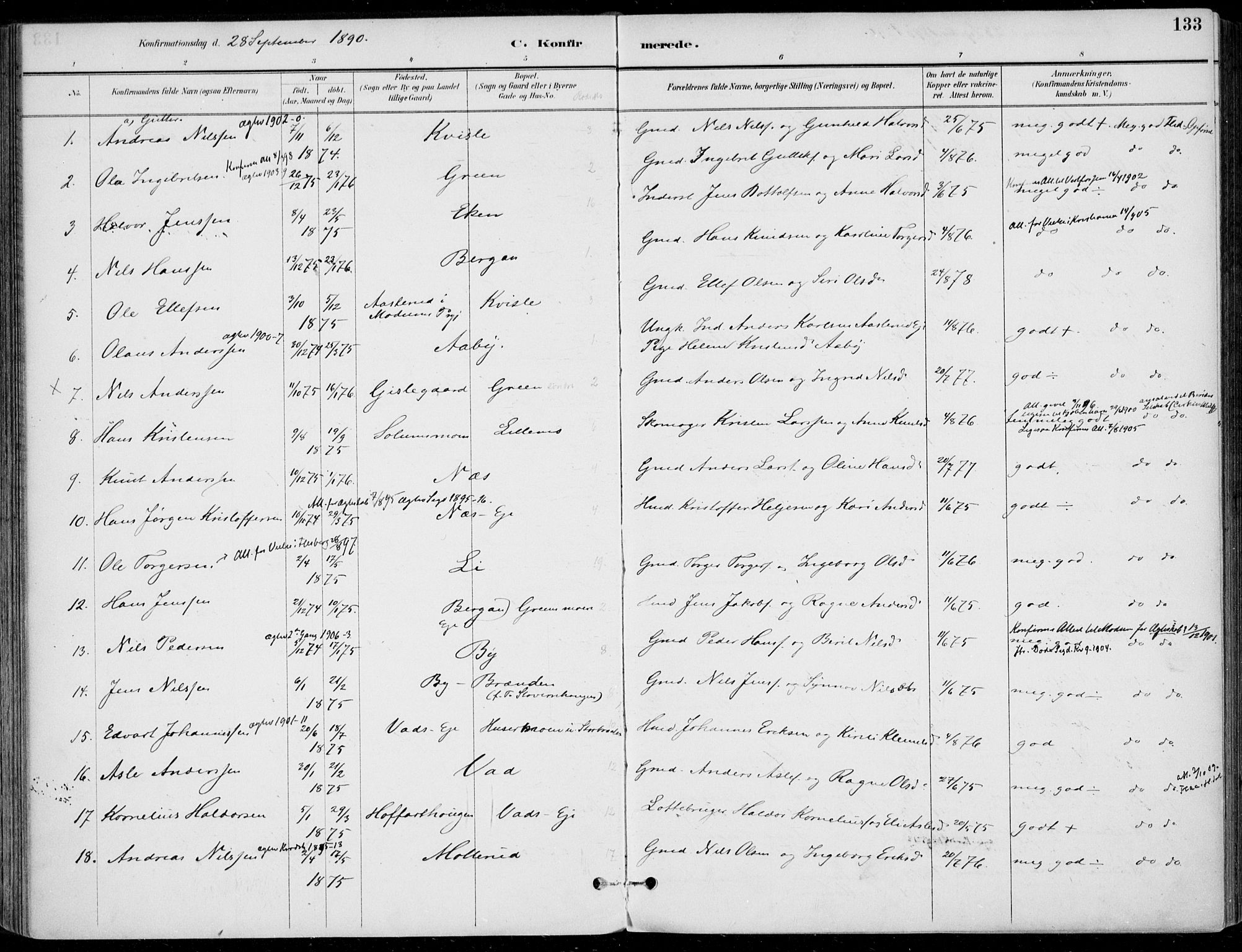 Sigdal kirkebøker, SAKO/A-245/F/Fb/L0001: Parish register (official) no. II 1, 1888-1900, p. 133