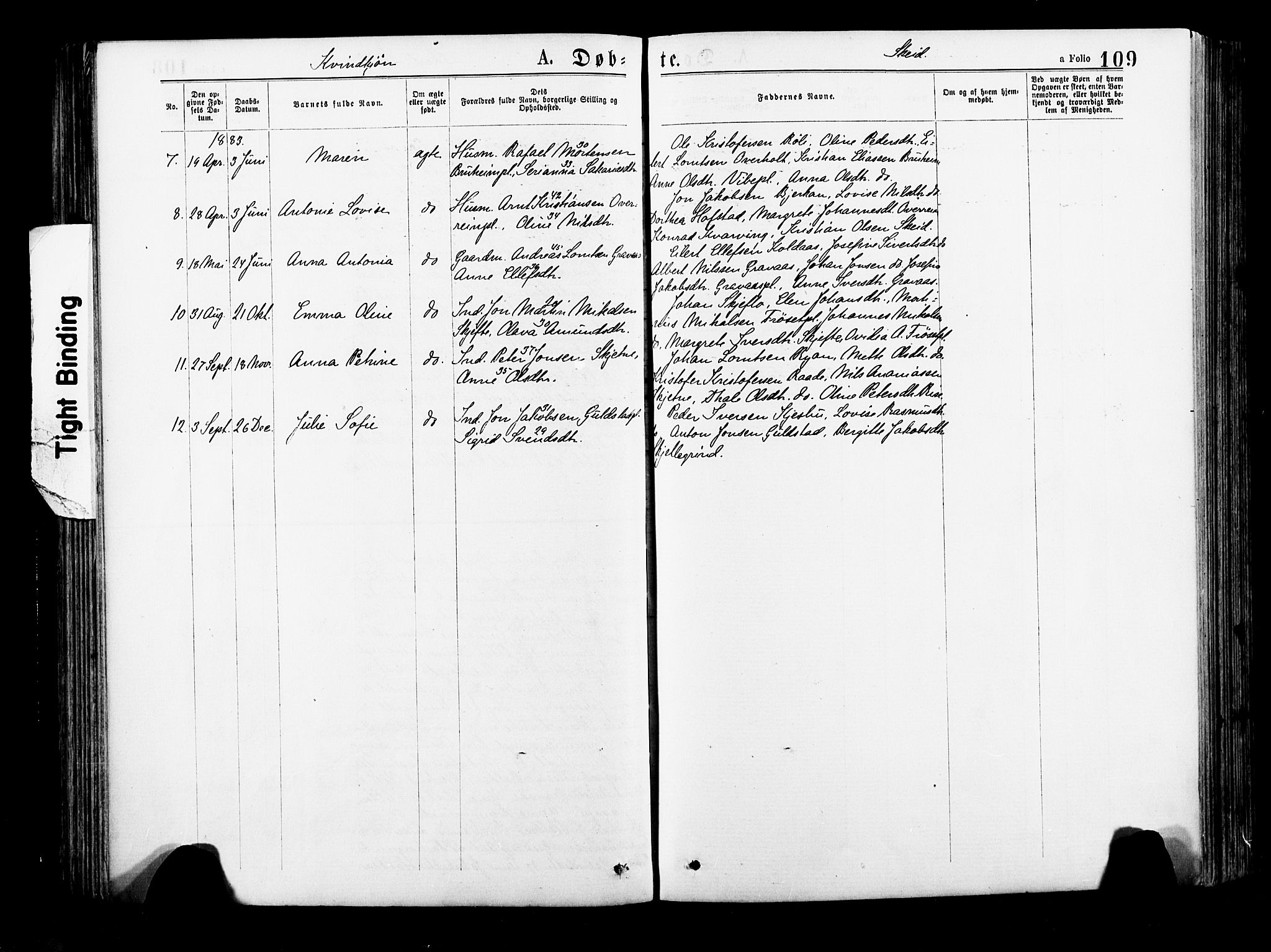 Ministerialprotokoller, klokkerbøker og fødselsregistre - Nord-Trøndelag, AV/SAT-A-1458/735/L0348: Parish register (official) no. 735A09 /2, 1873-1883, p. 109