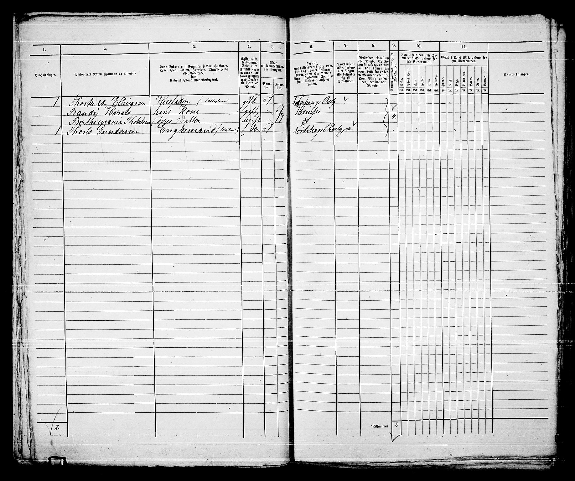 RA, 1865 census for Norderhov/Hønefoss, 1865, p. 101