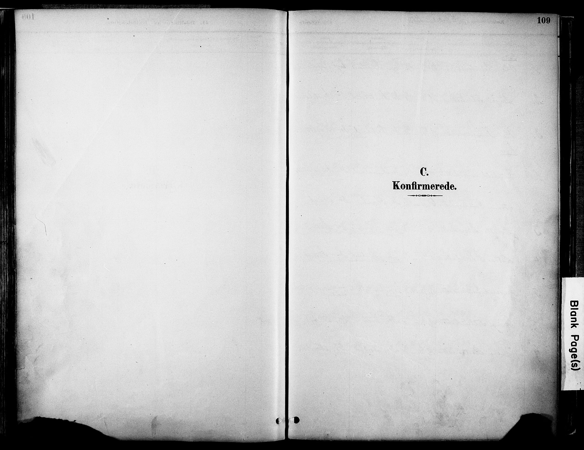 Evje sokneprestkontor, SAK/1111-0008/F/Fa/Faa/L0007: Parish register (official) no. A 7, 1884-1909, p. 109