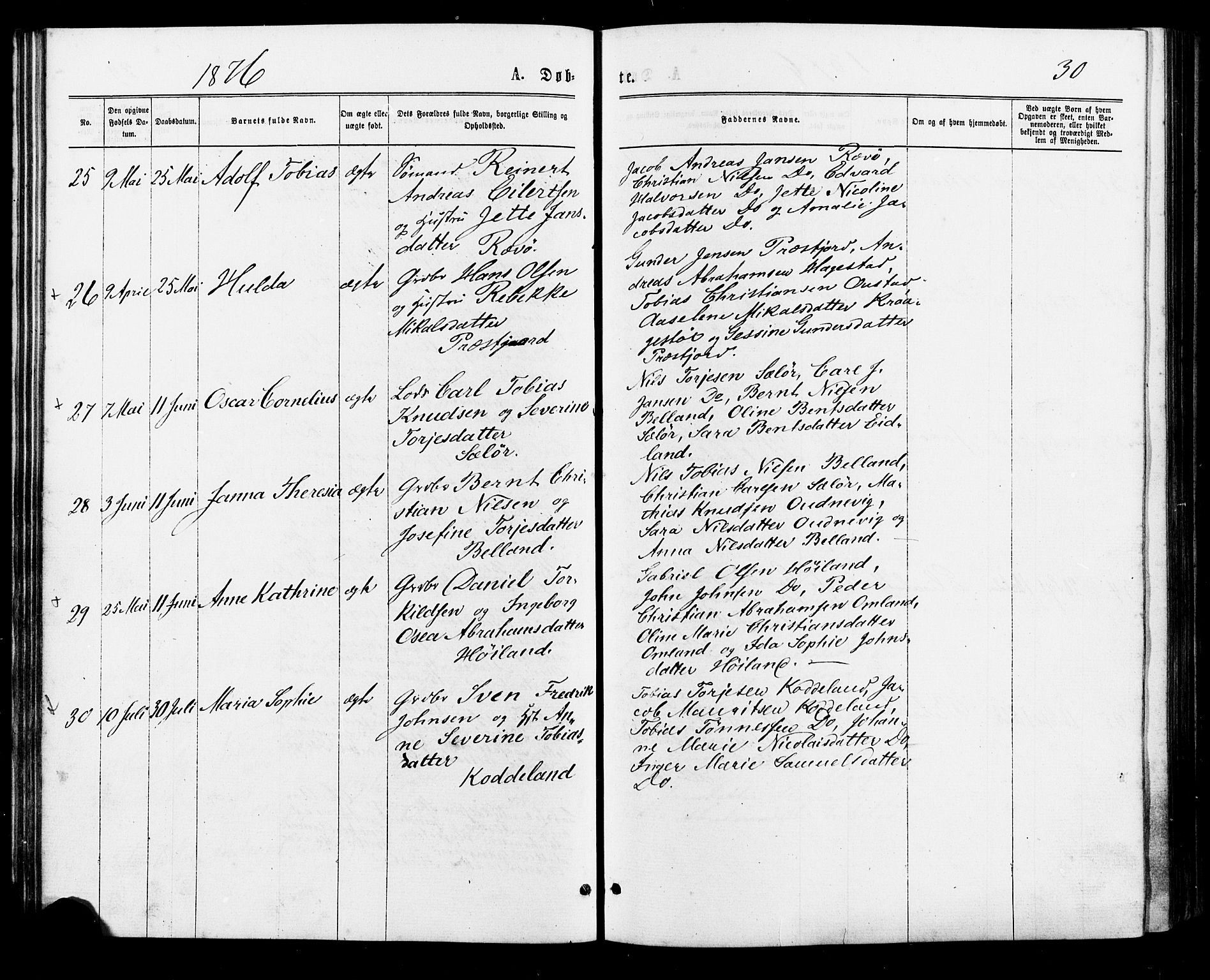 Lyngdal sokneprestkontor, AV/SAK-1111-0029/F/Fa/Faa/L0003: Parish register (official) no. A 3, 1871-1882, p. 30