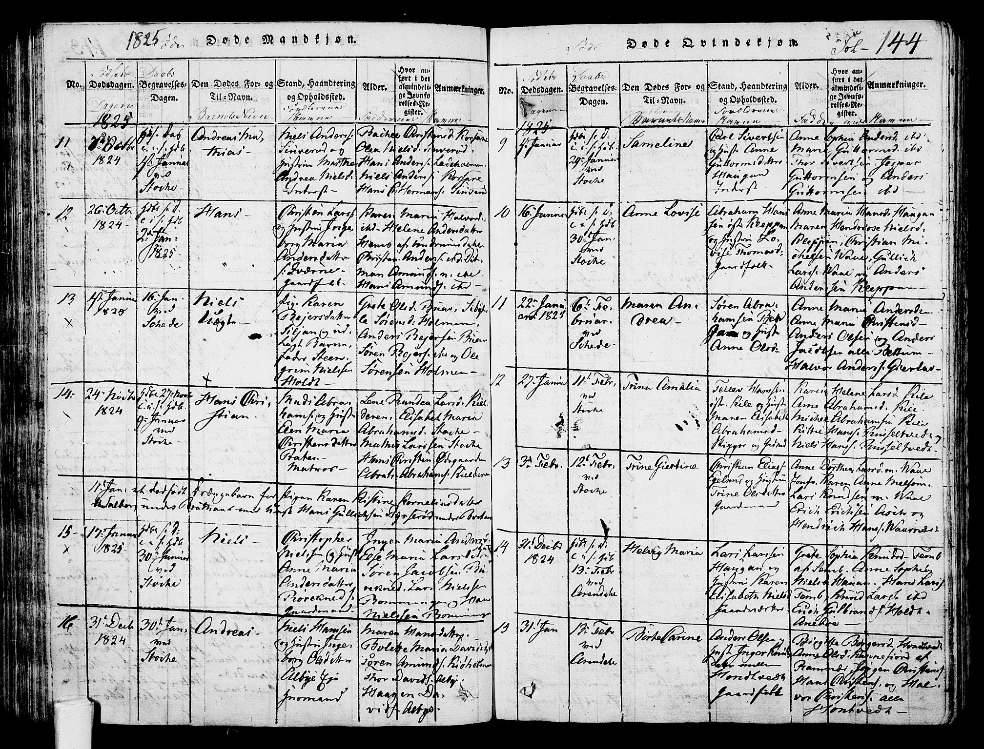 Stokke kirkebøker, SAKO/A-320/F/Fa/L0005: Parish register (official) no. I 5, 1815-1826, p. 144