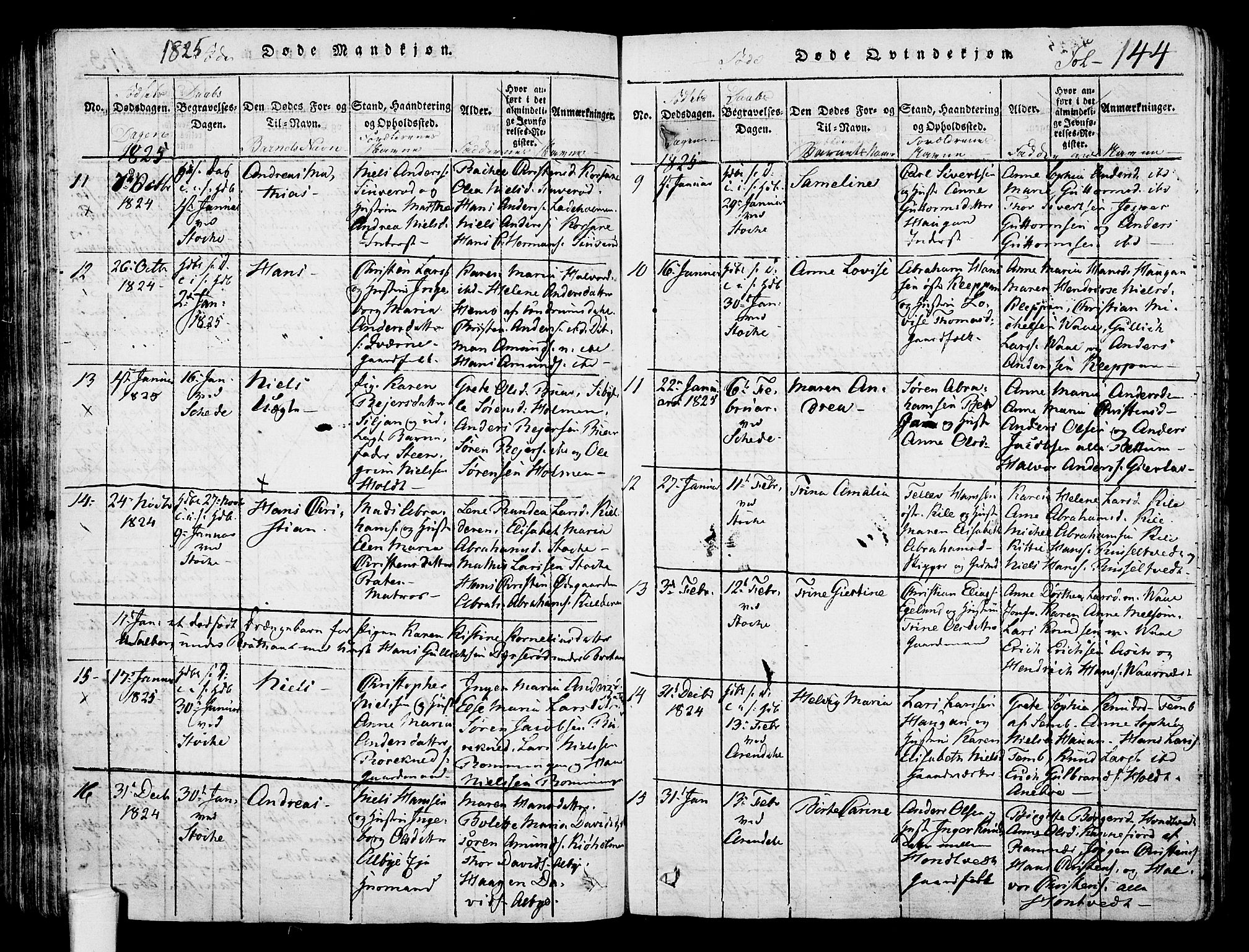 Stokke kirkebøker, AV/SAKO-A-320/F/Fa/L0005: Parish register (official) no. I 5, 1815-1826, p. 144