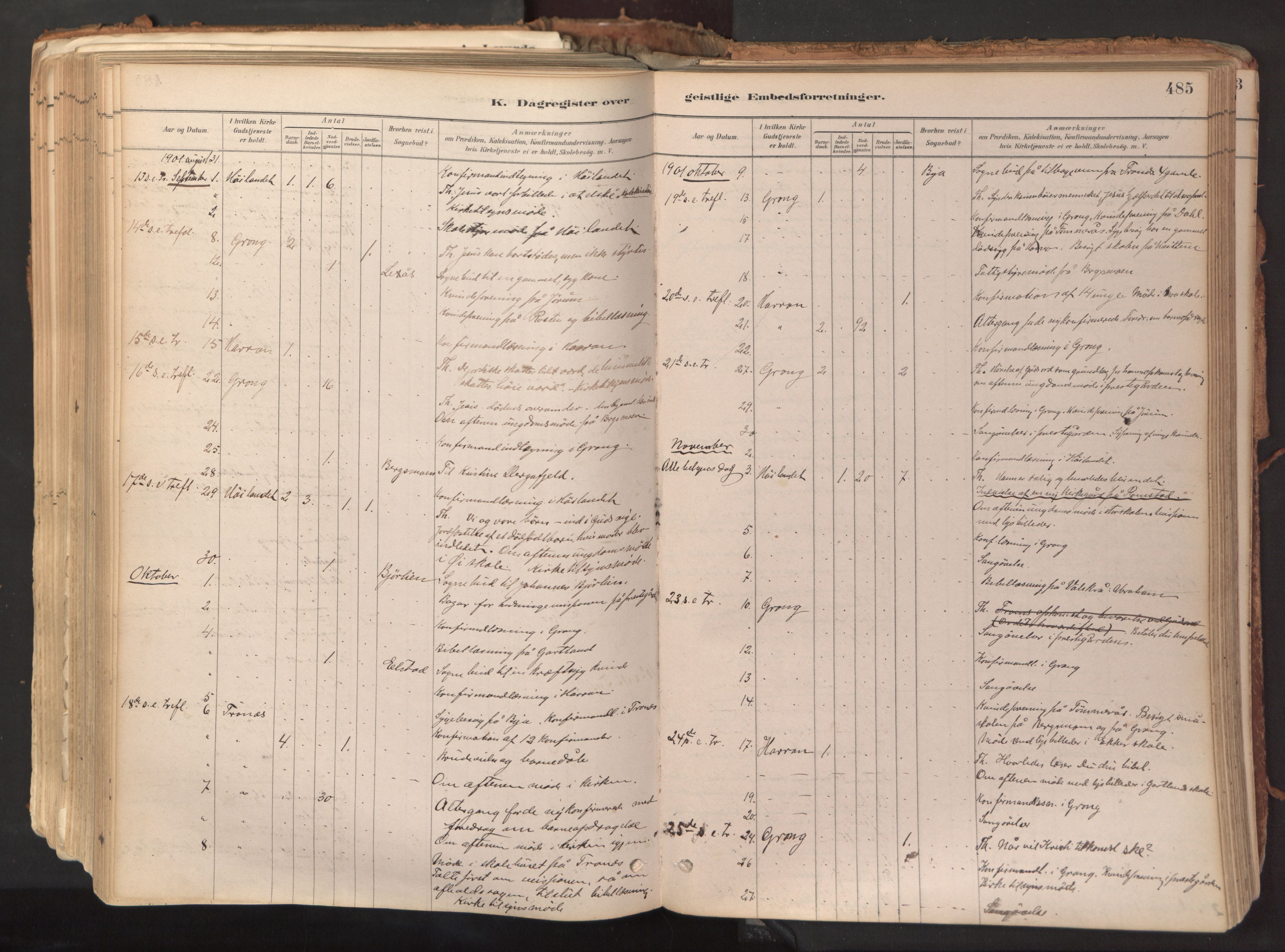 Ministerialprotokoller, klokkerbøker og fødselsregistre - Nord-Trøndelag, AV/SAT-A-1458/758/L0519: Parish register (official) no. 758A04, 1880-1926, p. 485