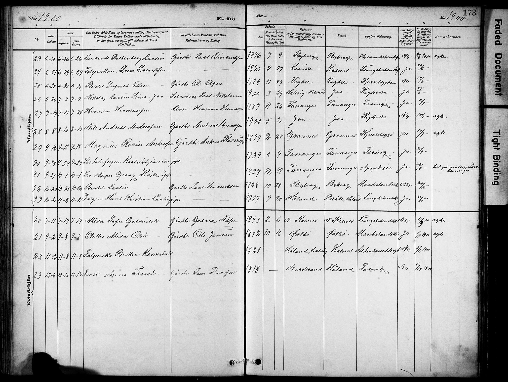 Håland sokneprestkontor, AV/SAST-A-101802/001/30BA/L0012: Parish register (official) no. A 11, 1889-1900, p. 173