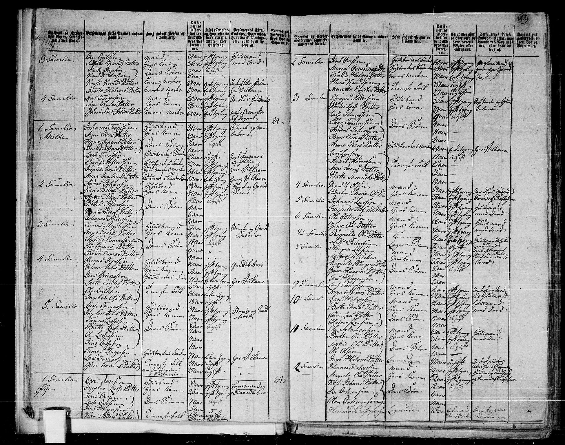 RA, 1801 census for 1422P Lærdal, 1801, p. 10b-11a