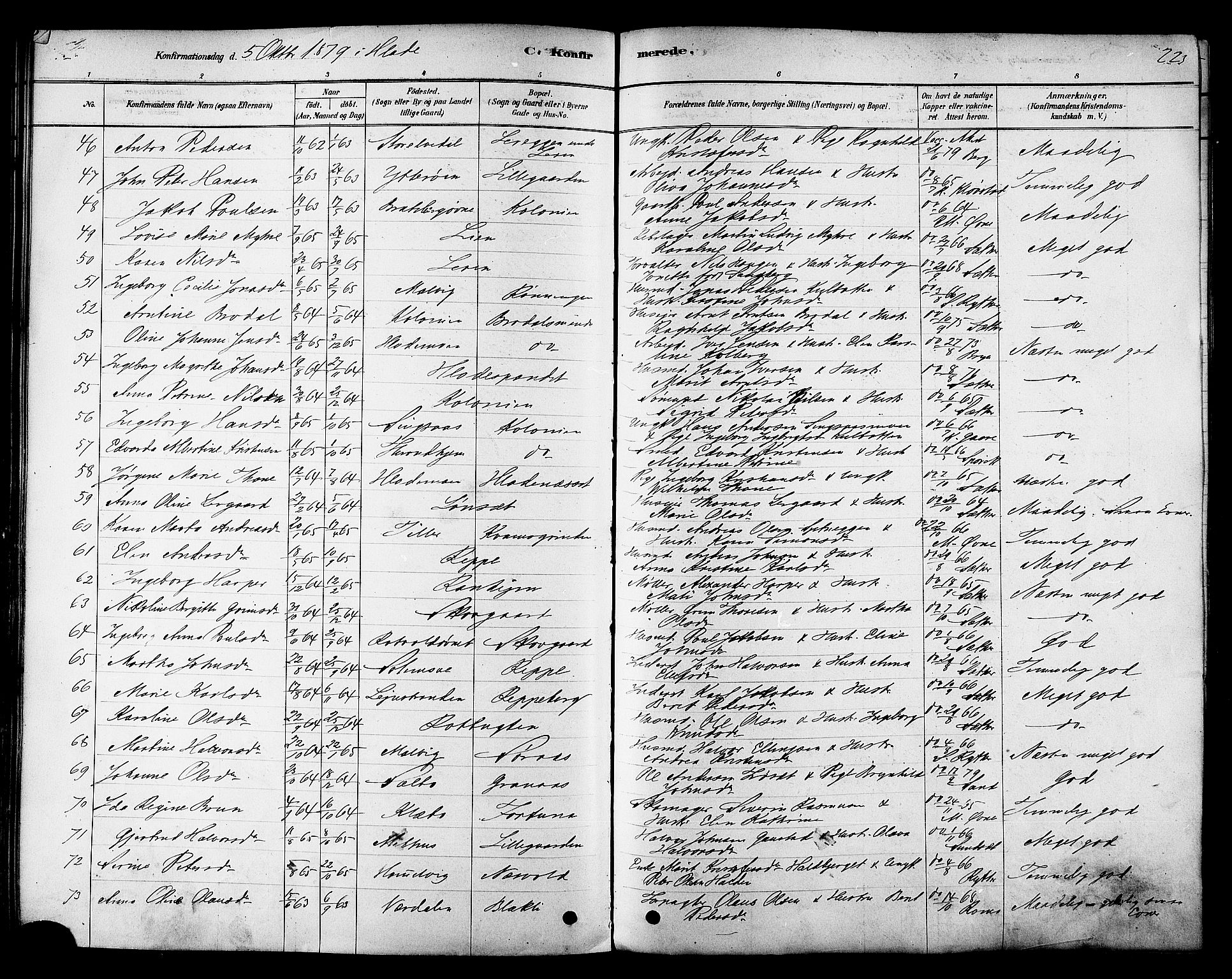 Ministerialprotokoller, klokkerbøker og fødselsregistre - Sør-Trøndelag, SAT/A-1456/606/L0294: Parish register (official) no. 606A09, 1878-1886, p. 223