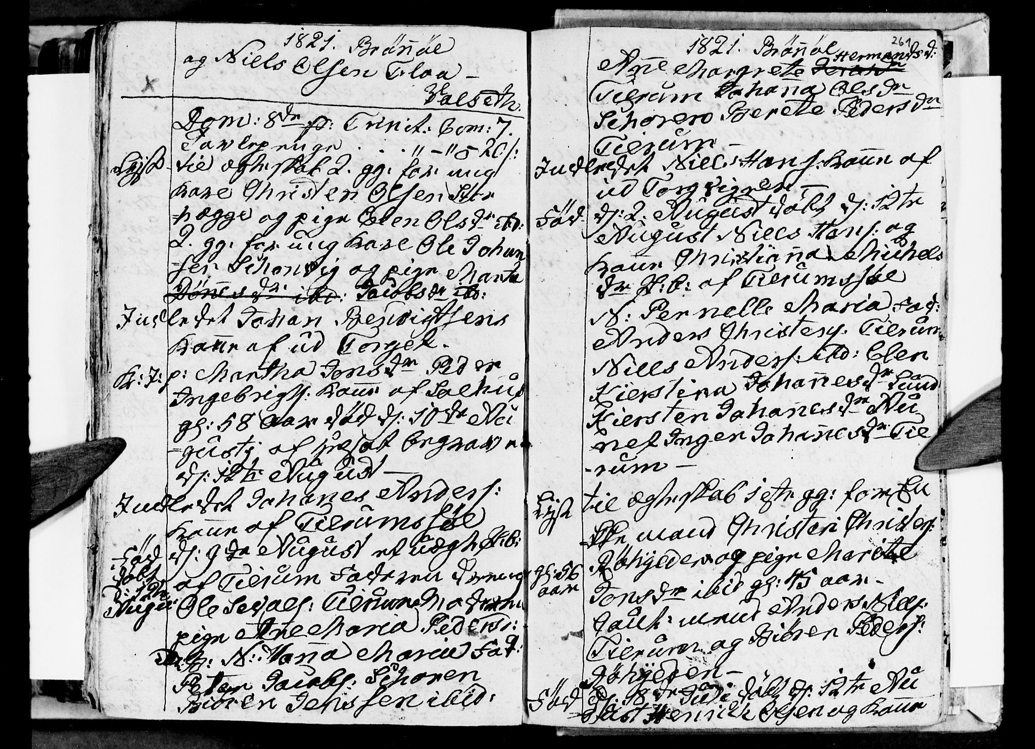 Ministerialprotokoller, klokkerbøker og fødselsregistre - Nordland, AV/SAT-A-1459/813/L0209: Parish register (copy) no. 813C01, 1803-1821, p. 261