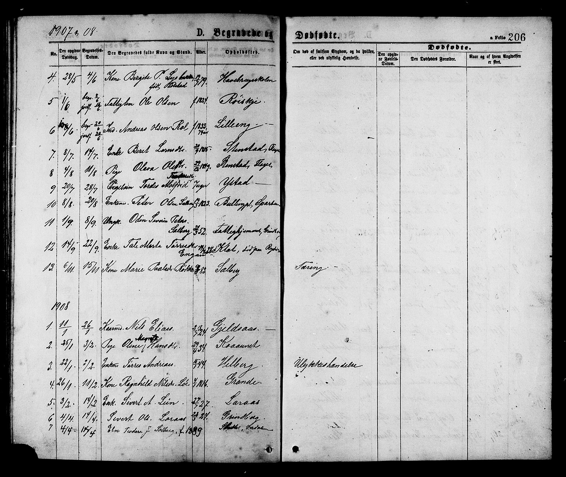 Ministerialprotokoller, klokkerbøker og fødselsregistre - Nord-Trøndelag, SAT/A-1458/731/L0311: Parish register (copy) no. 731C02, 1875-1911, p. 206