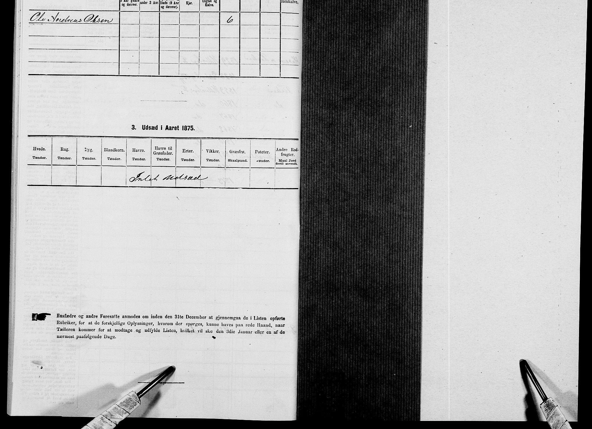 SAK, 1875 census for 1042L Flekkefjord/Nes og Hidra, 1875, p. 861