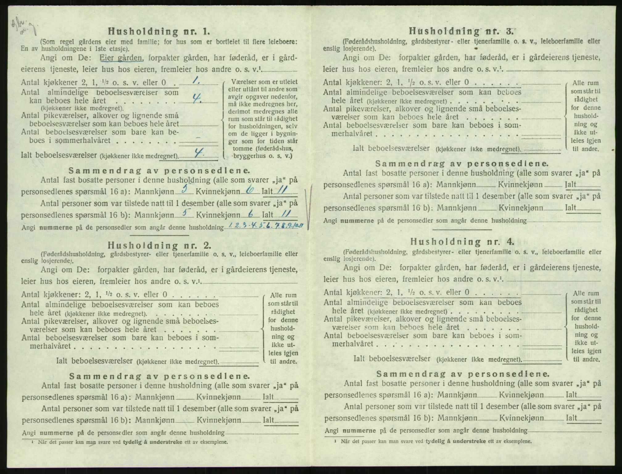 SAK, 1920 census for Hornnes, 1920, p. 484
